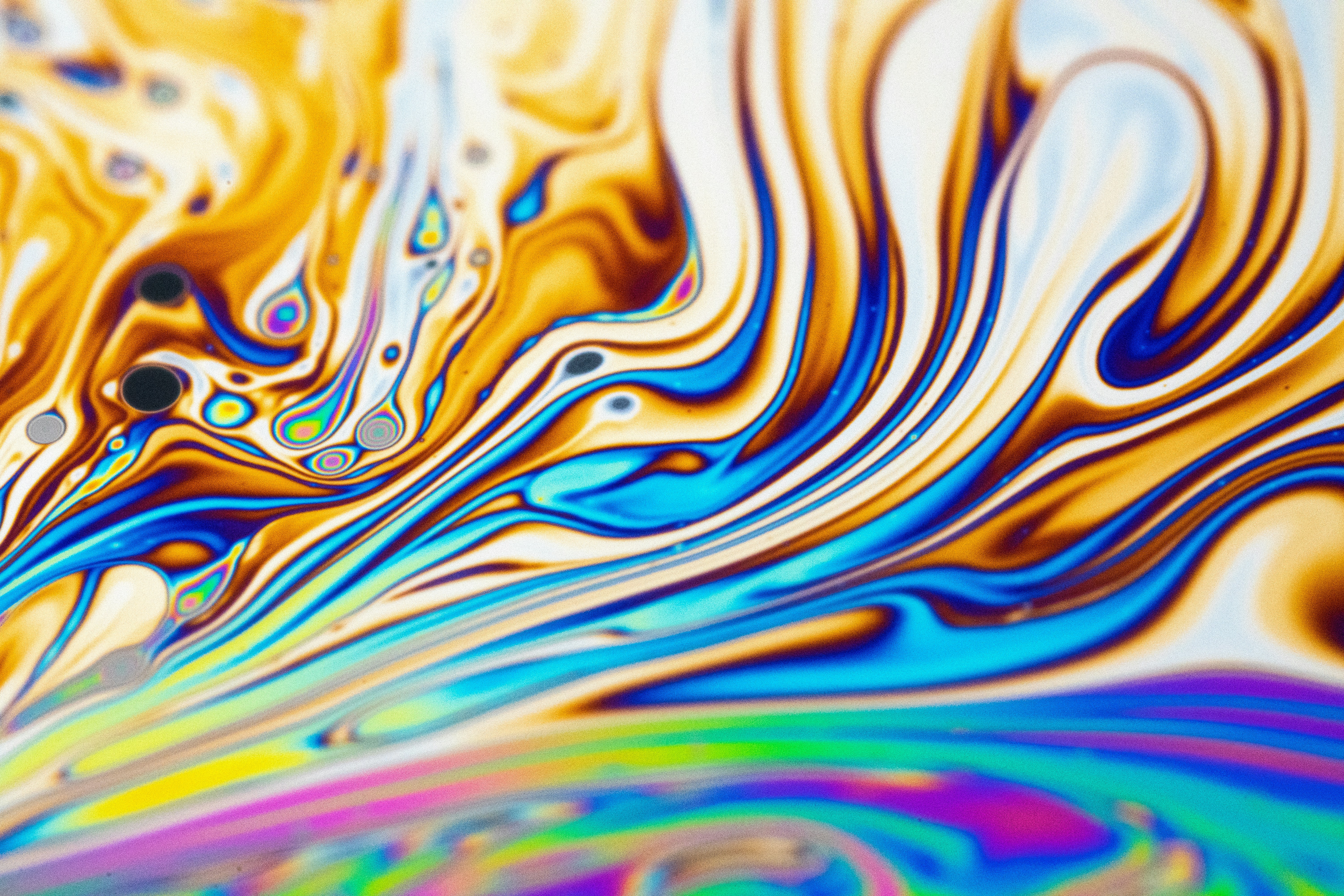 Photo by marcoangelo