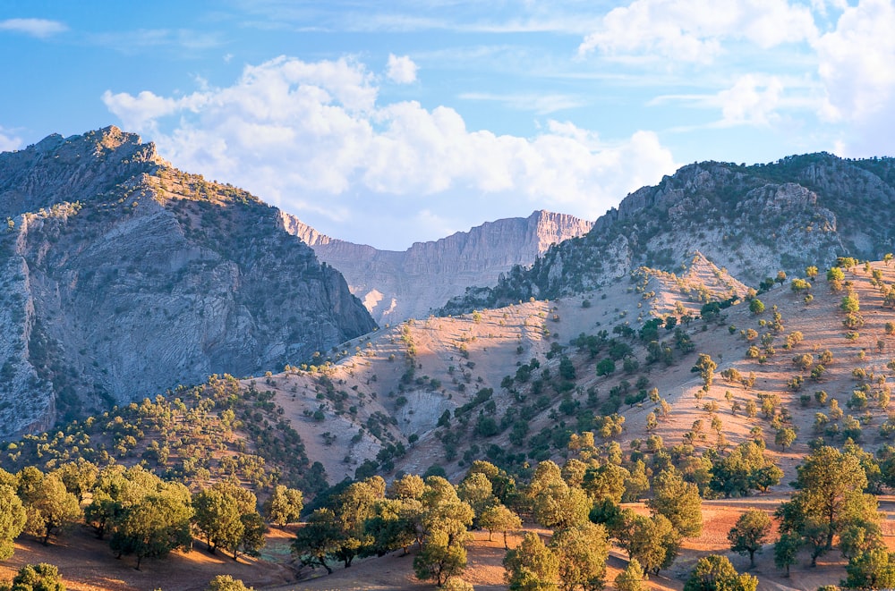 a landscape with trees and mountains