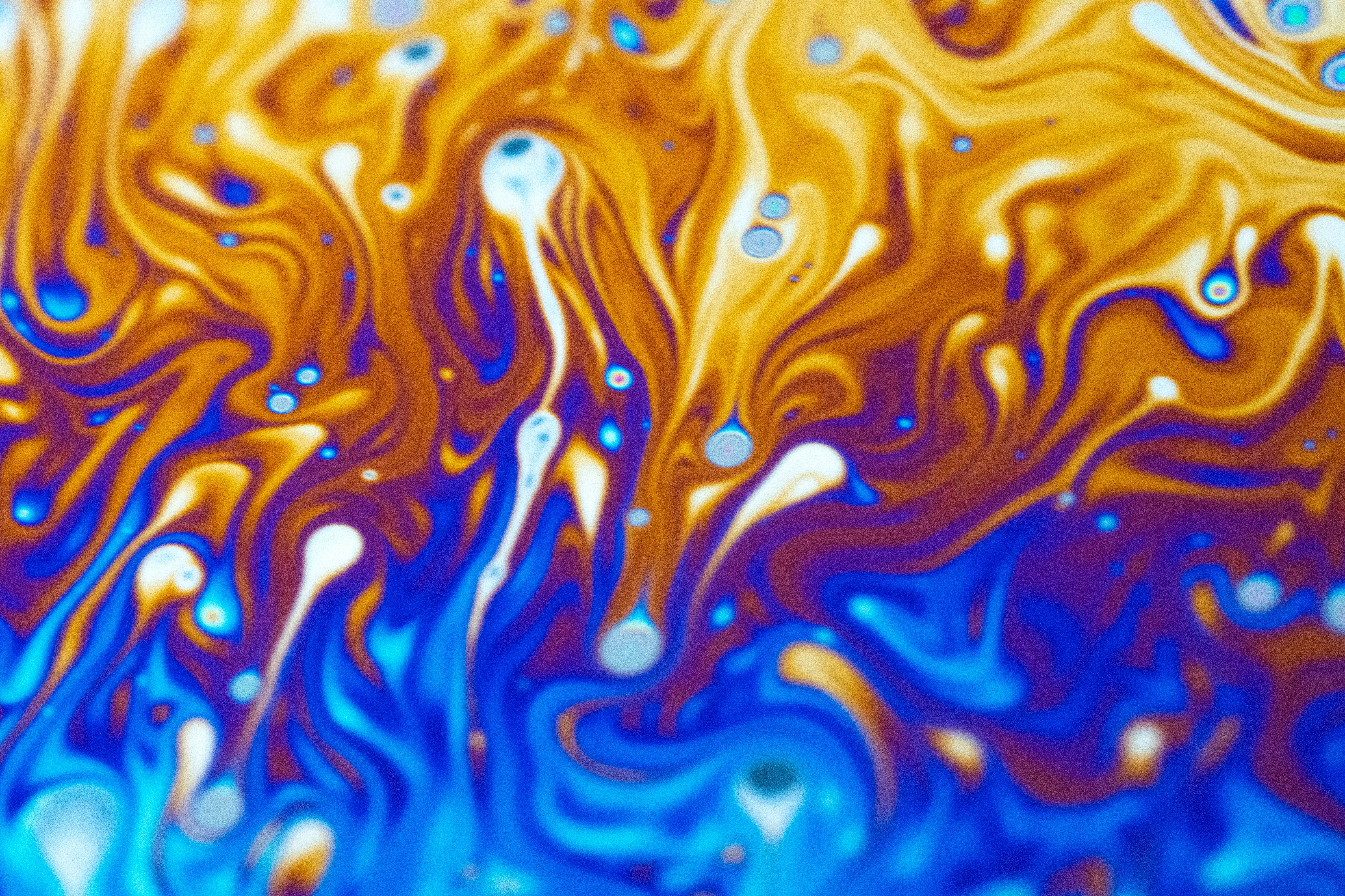 Photo by marcoangelo