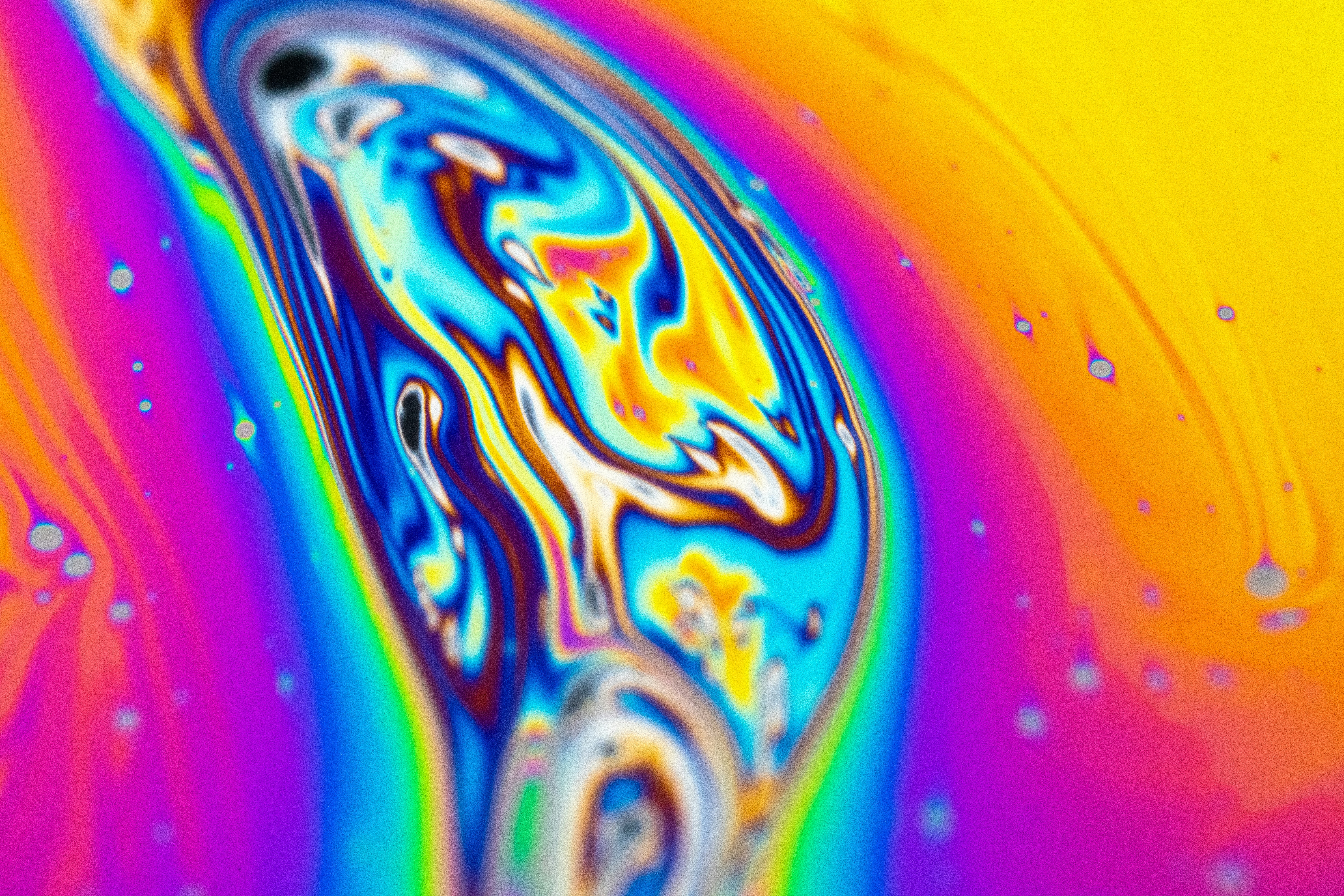 Photo by marcoangelo