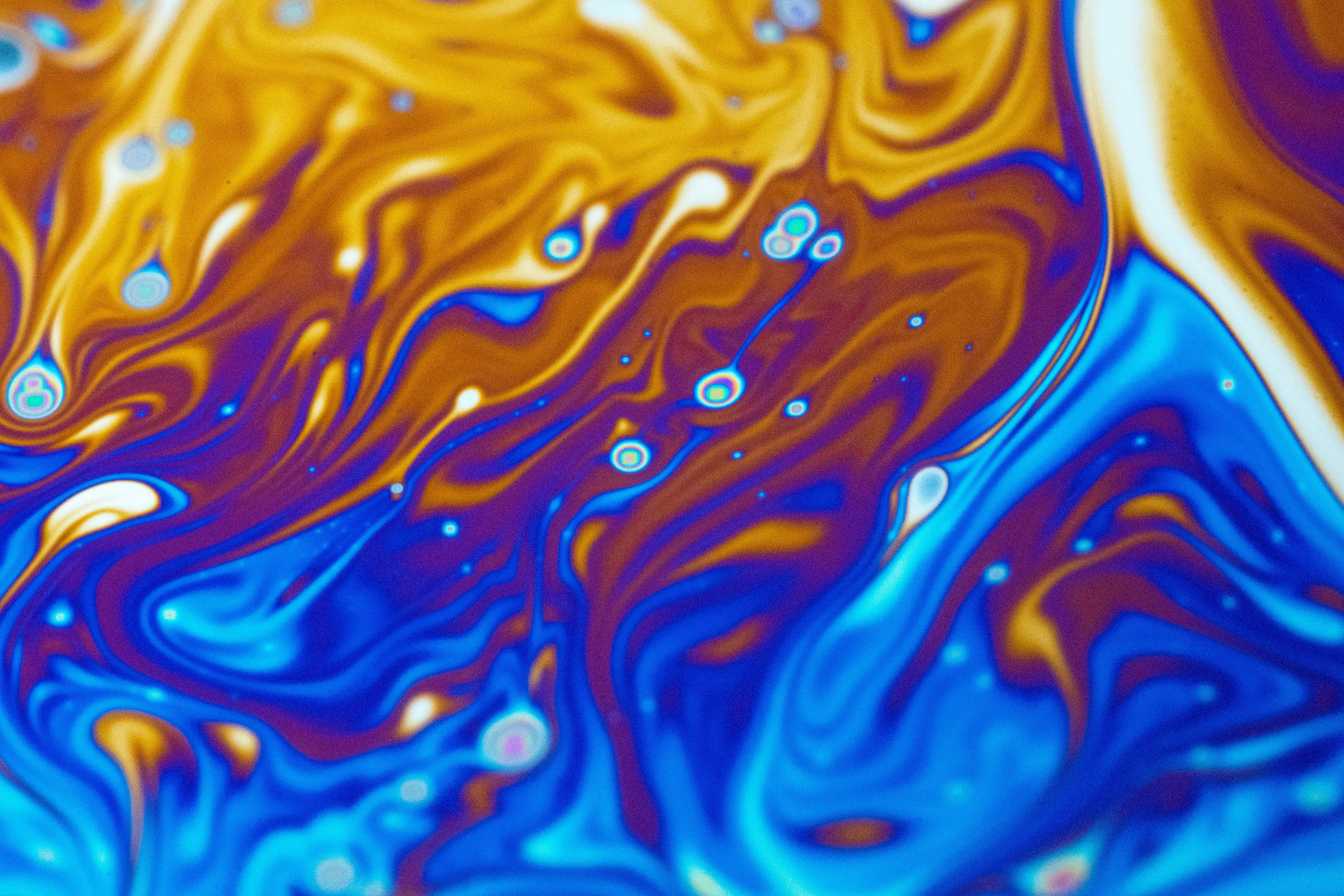 Photo by marcoangelo