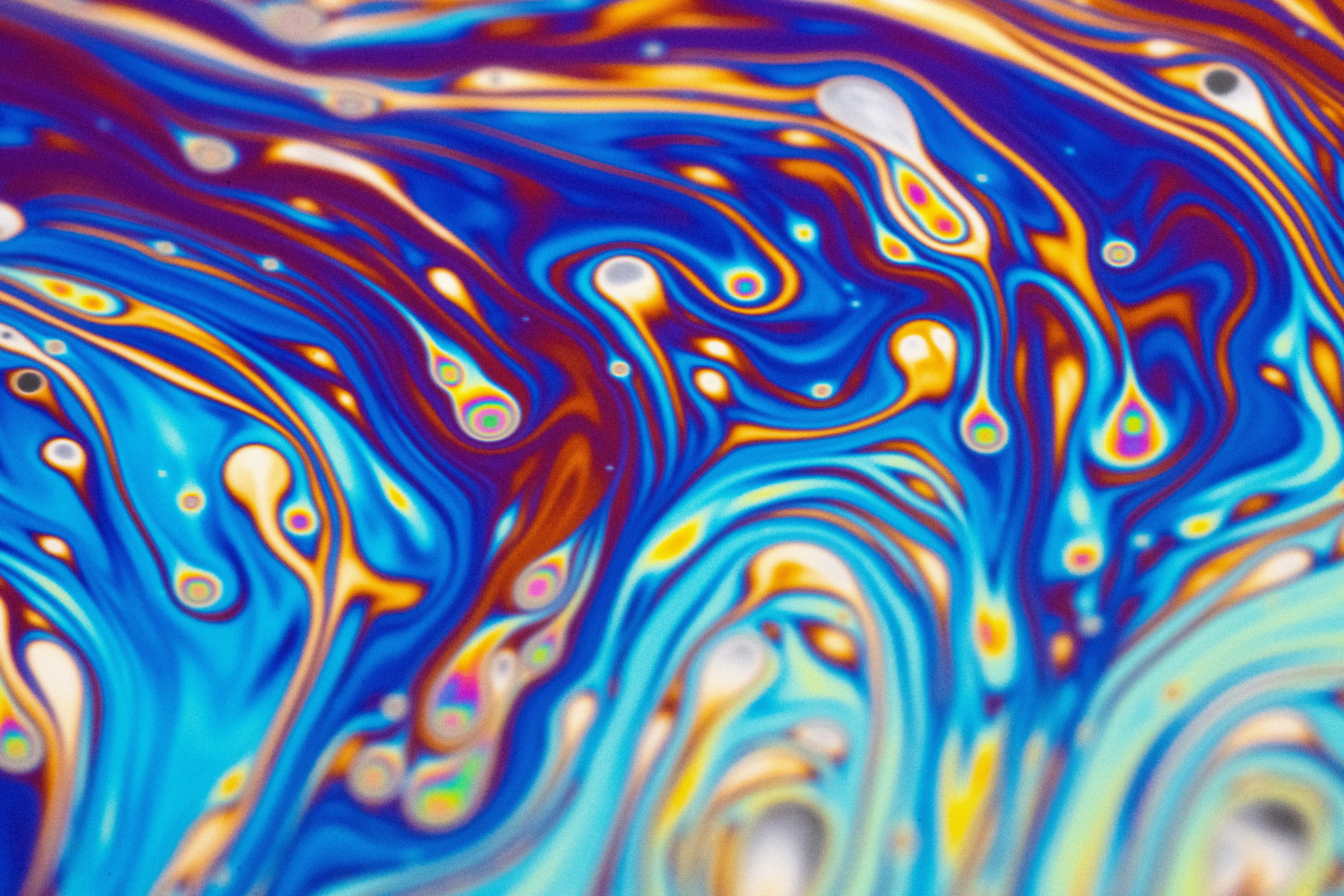 Photo by marcoangelo