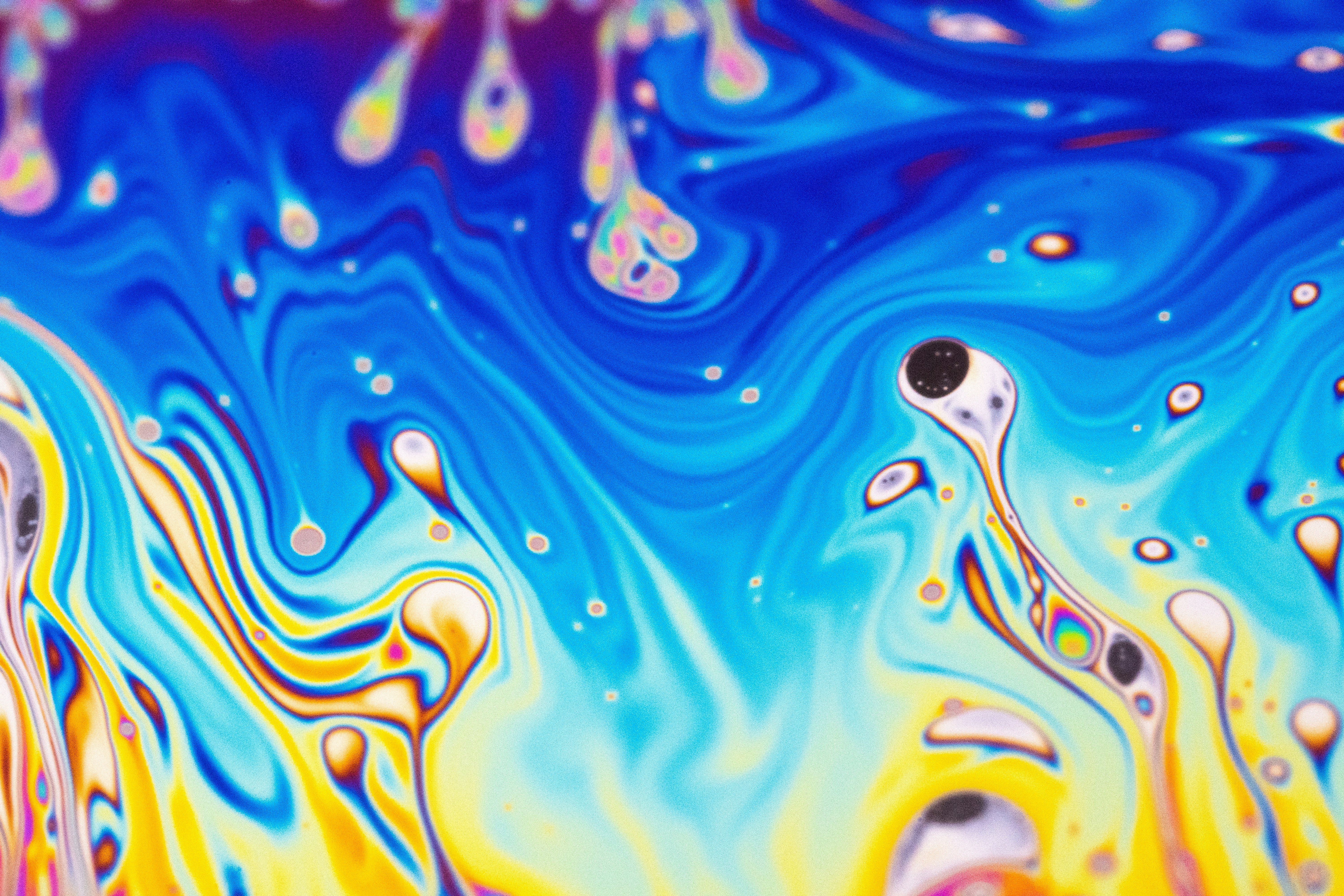 Photo by marcoangelo