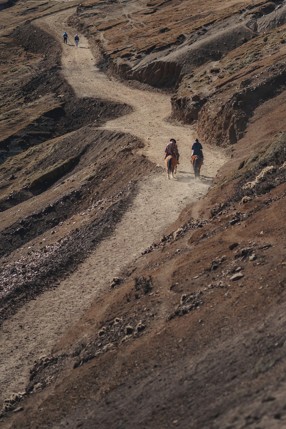 a group of people walking on a dirt path in a rocky area