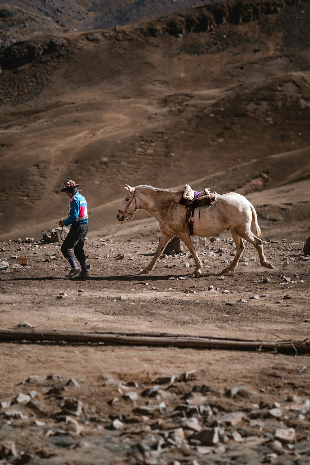 a person walking a horse