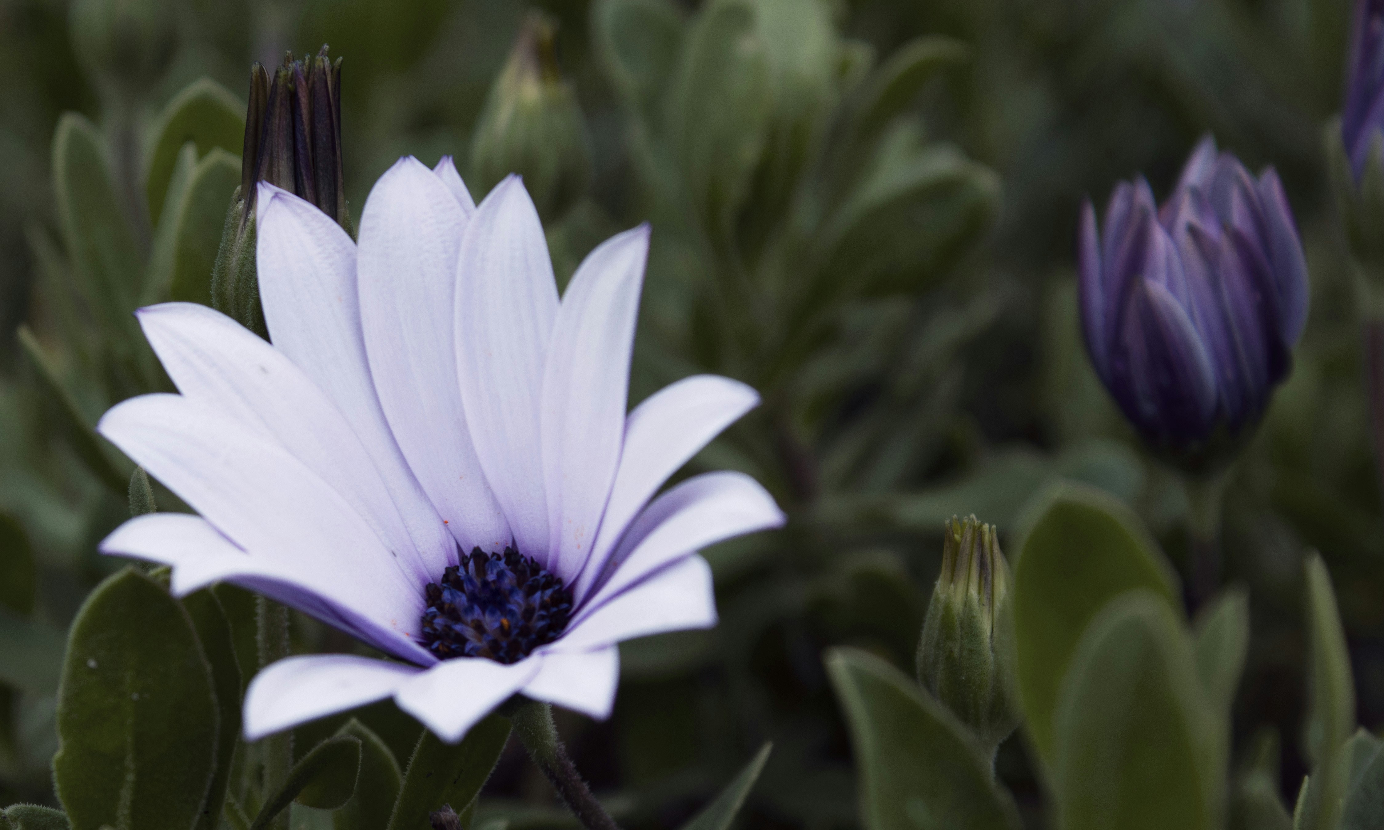 Photo by wanderingwithgarycpt