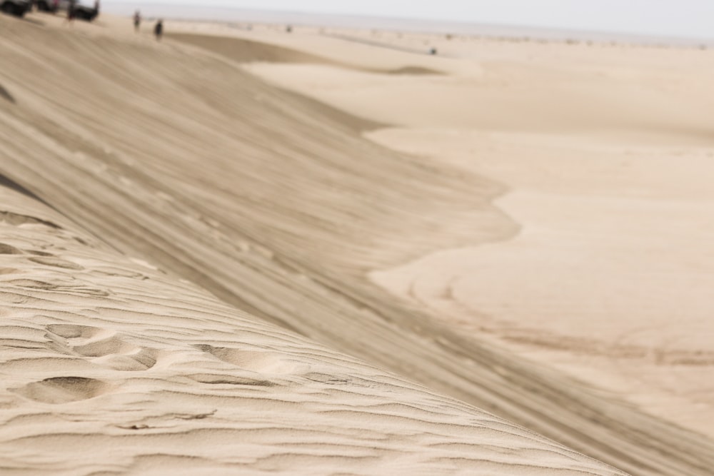 people walking on a sandy beach