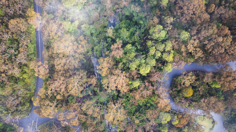 a river with a bridge over it