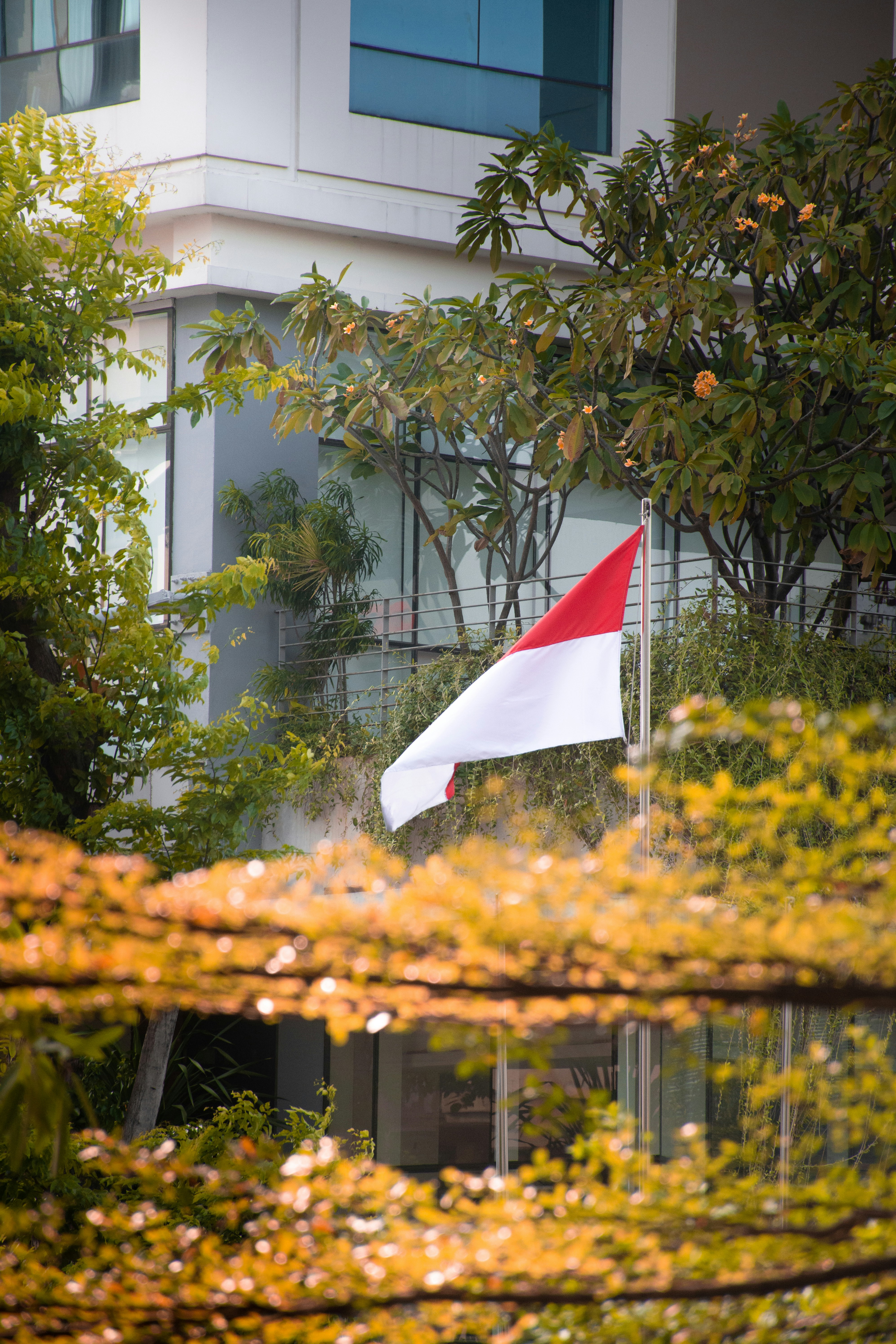 Bendera dua warna berkibar di tiang depan gedung modern.