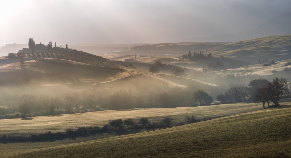 a foggy landscape with a hill and trees