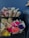 A collection of small bouquets arranged in brown paper wraps. The flowers are in a variety of vibrant colors, including yellow, pink, purple, red, and orange. They are displayed on black shelves against a deep blue background, adding to the contrast and vibrancy of the flowers.