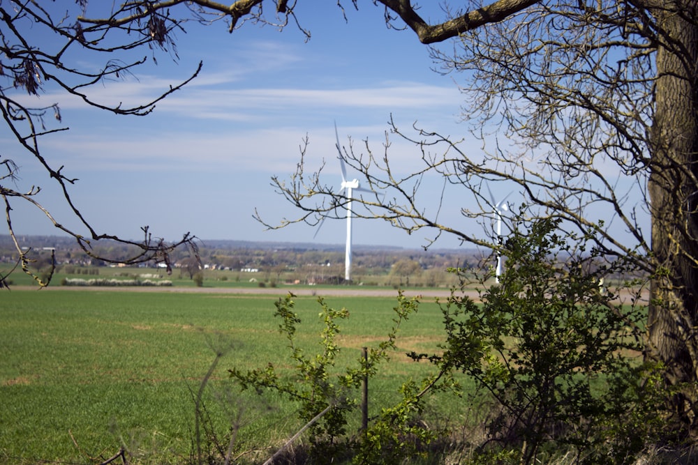 a field with a windmill in the distance