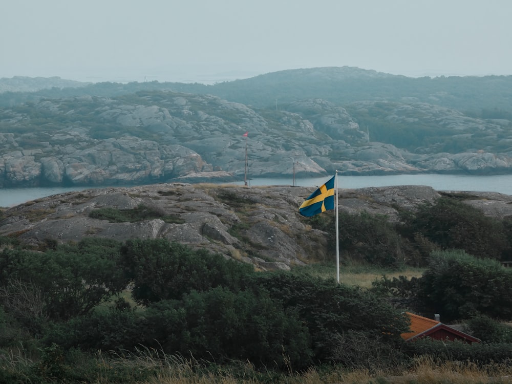 a flag on a pole