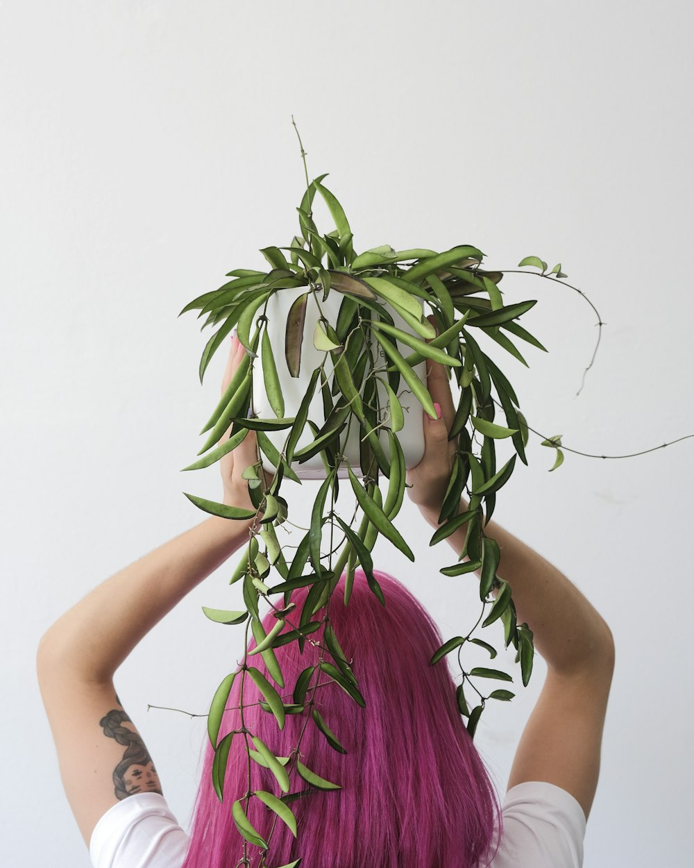 a woman holding a plant