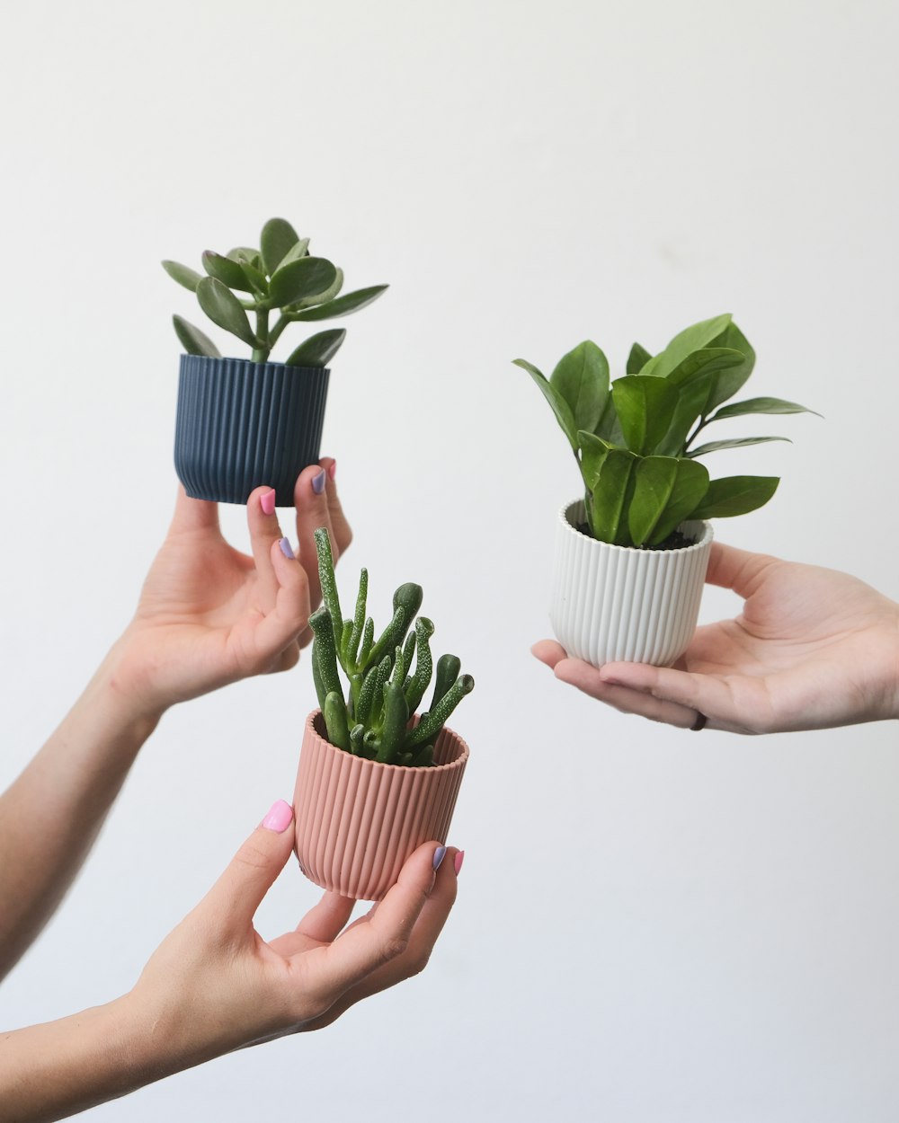 a few hands holding plants