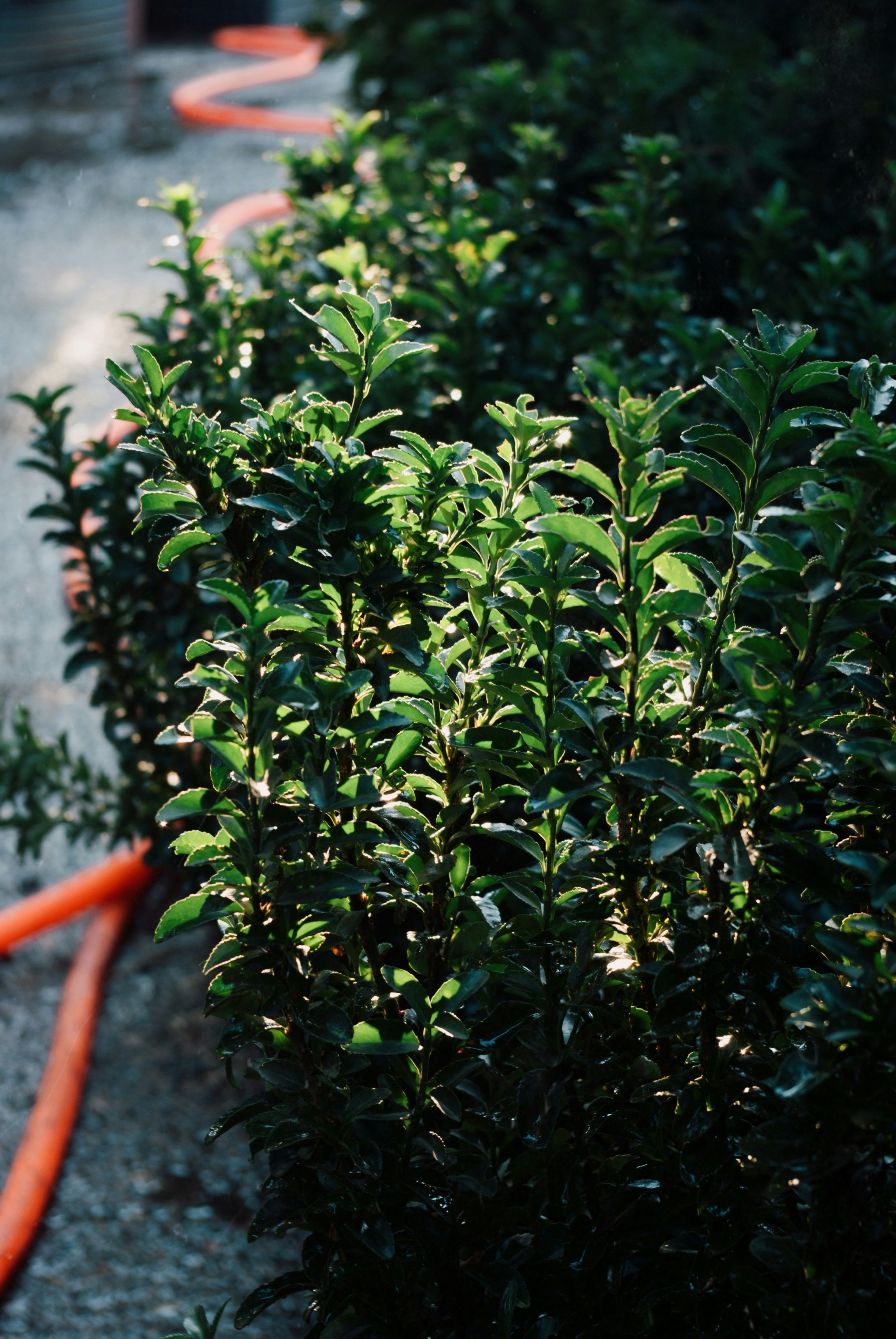 Photo by moonmoons_days