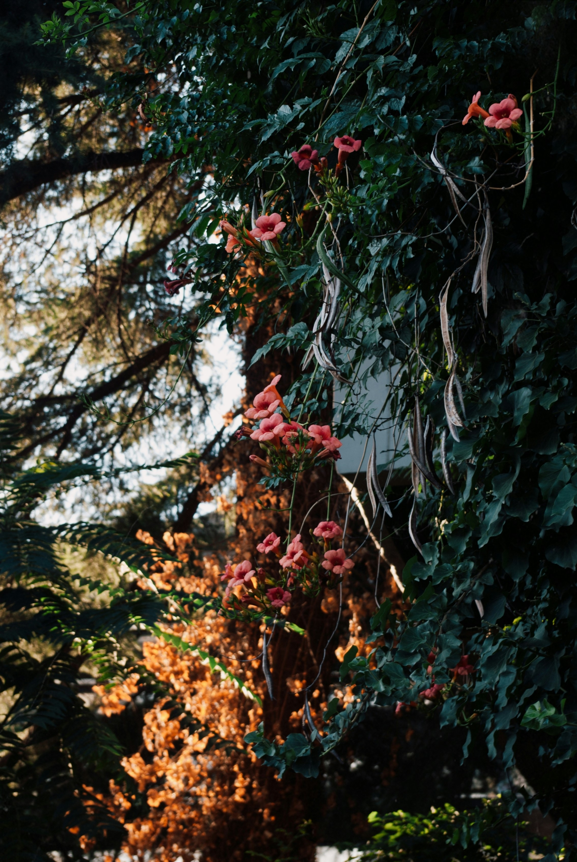 Photo by moonmoons_days