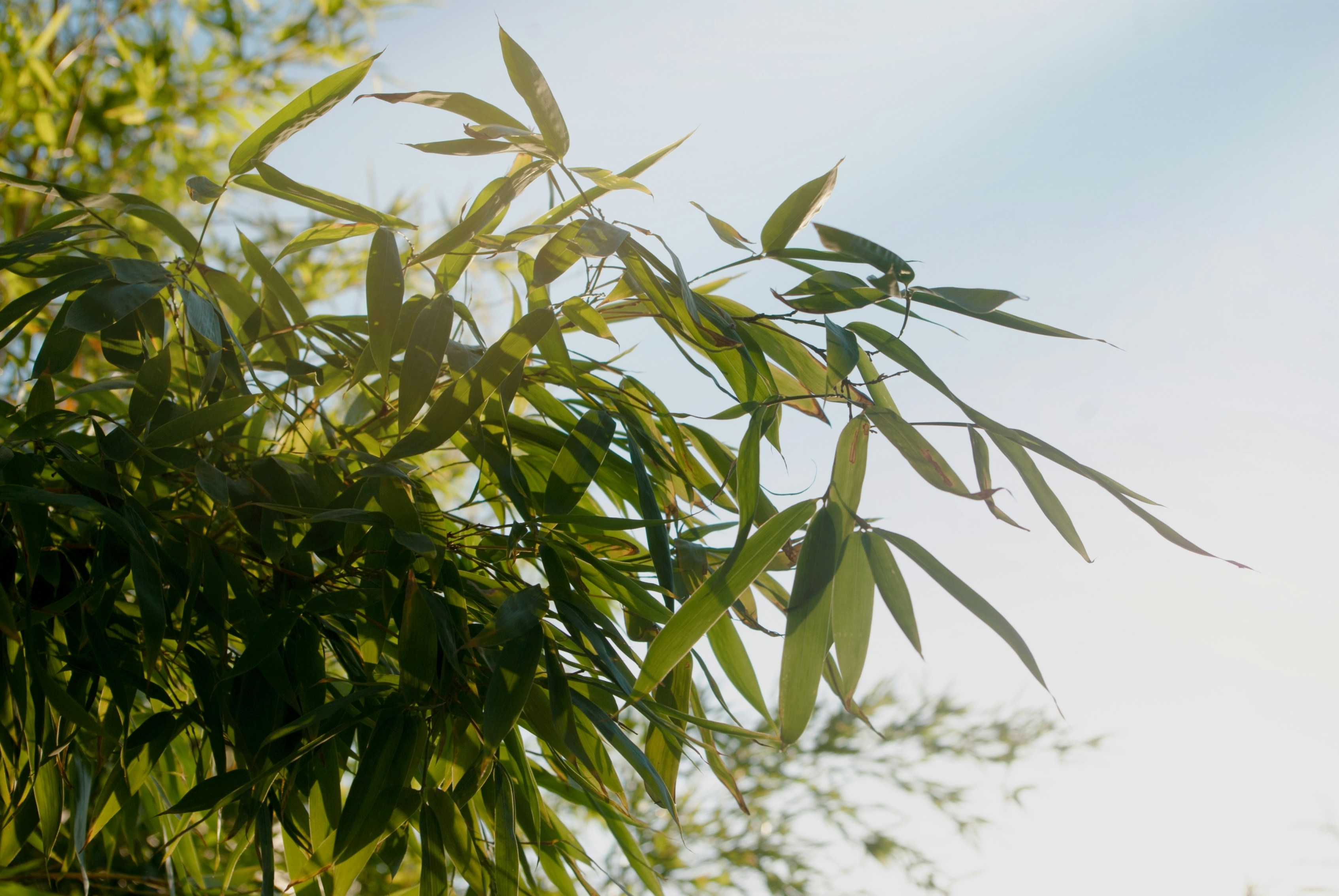 Photo by moonmoons_days