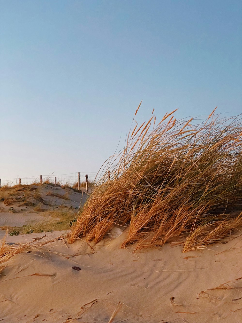 a sandy beach