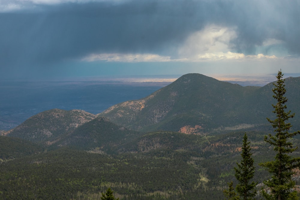 a mountain range with trees