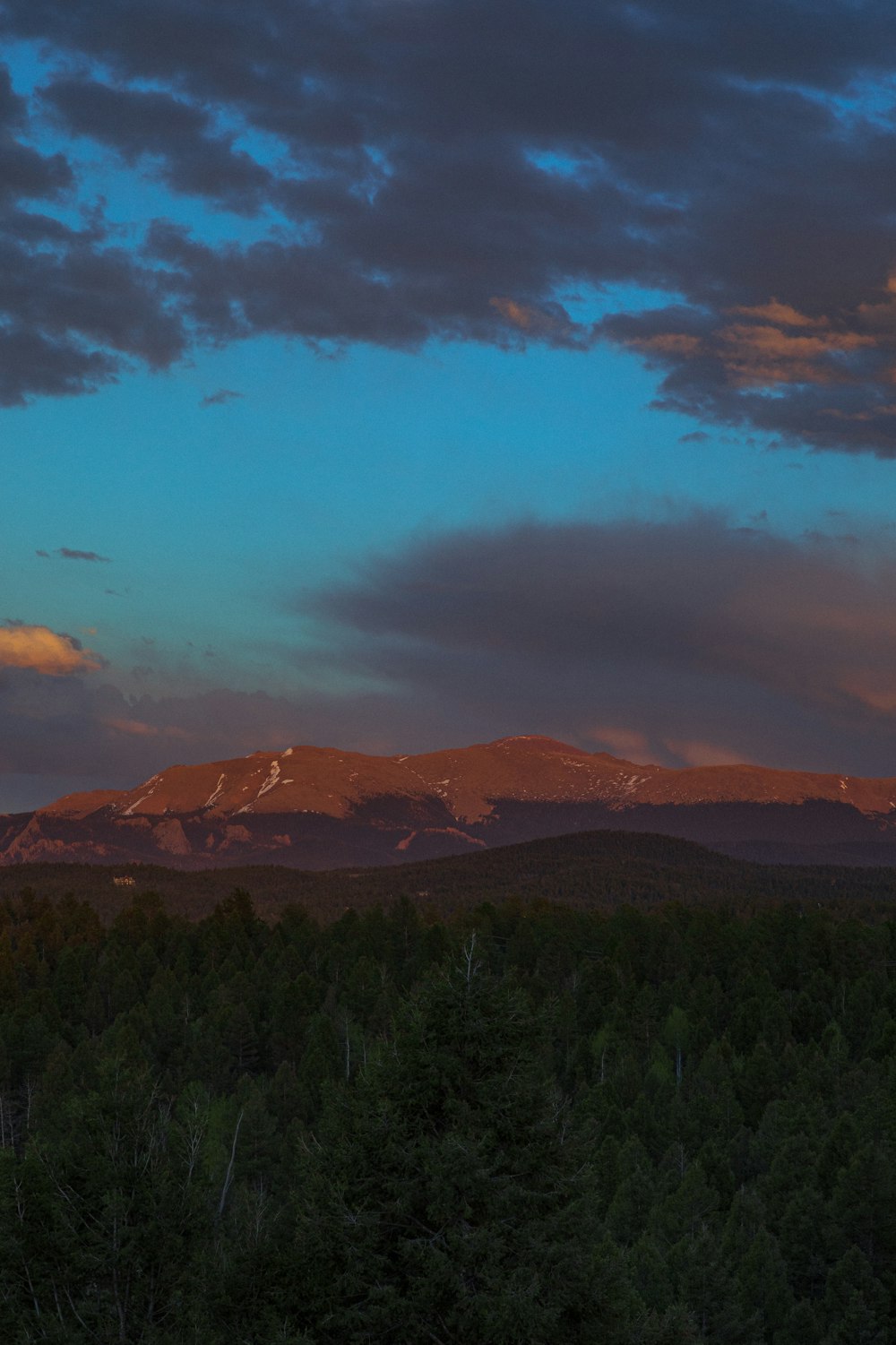 a landscape with trees and mountains in the background