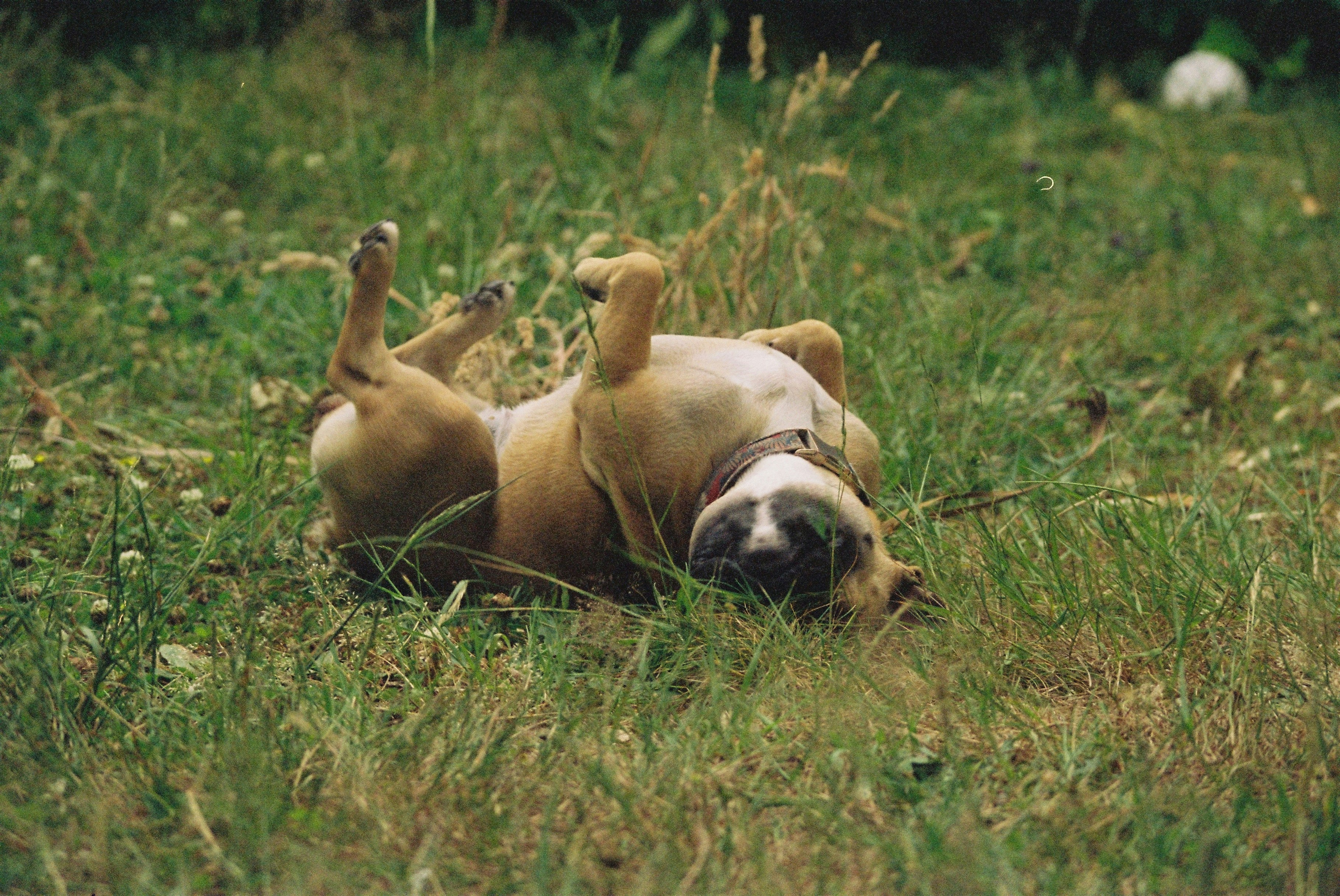 Monday Meditations - Being Vulnerable