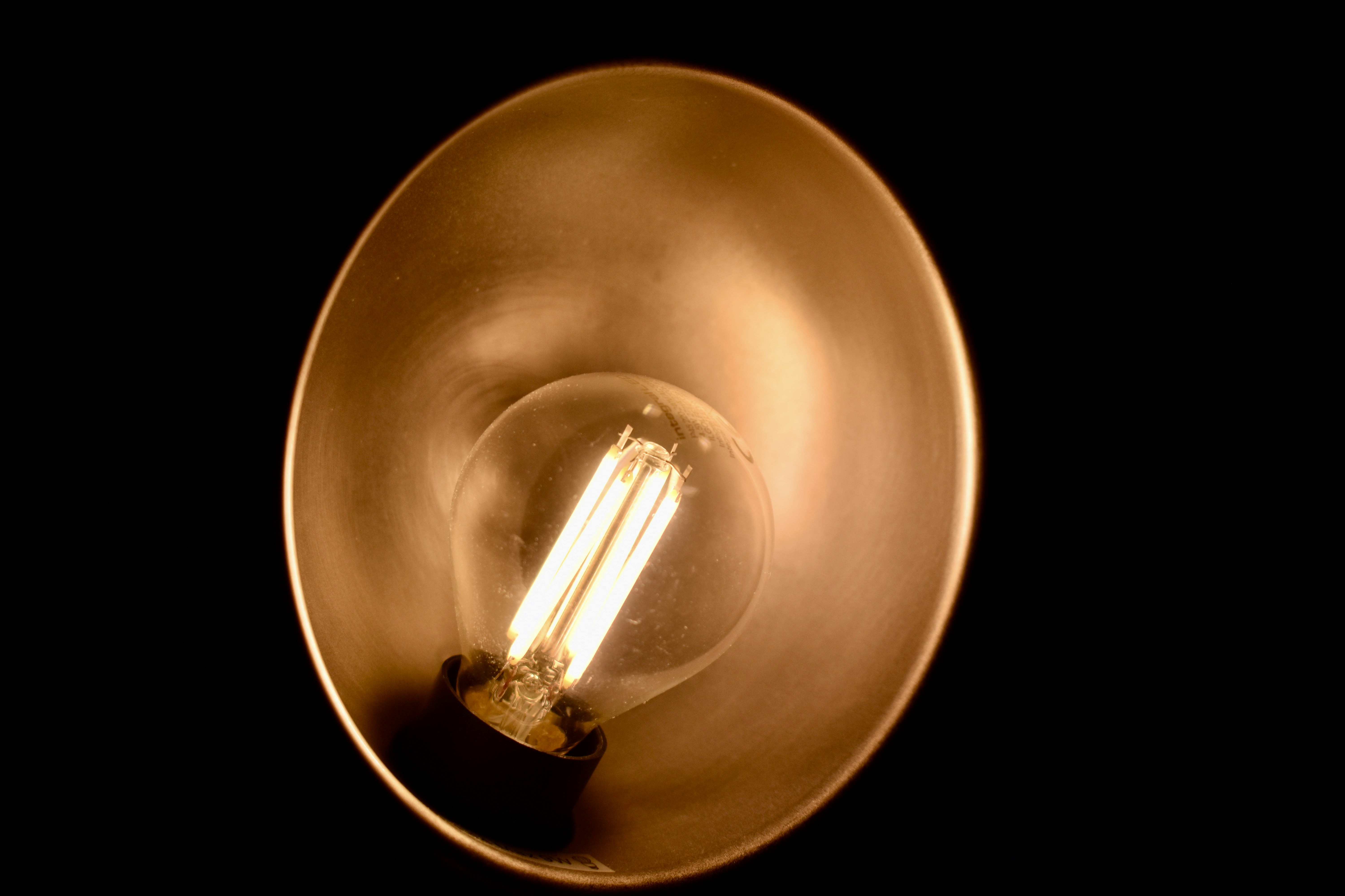 Photo by max_brindley