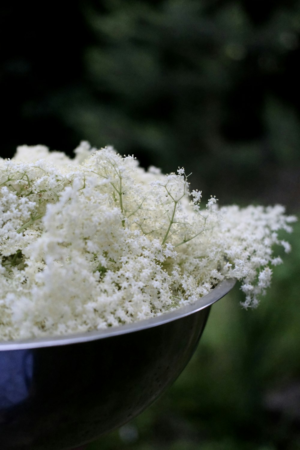 a white flower in a glass bowl