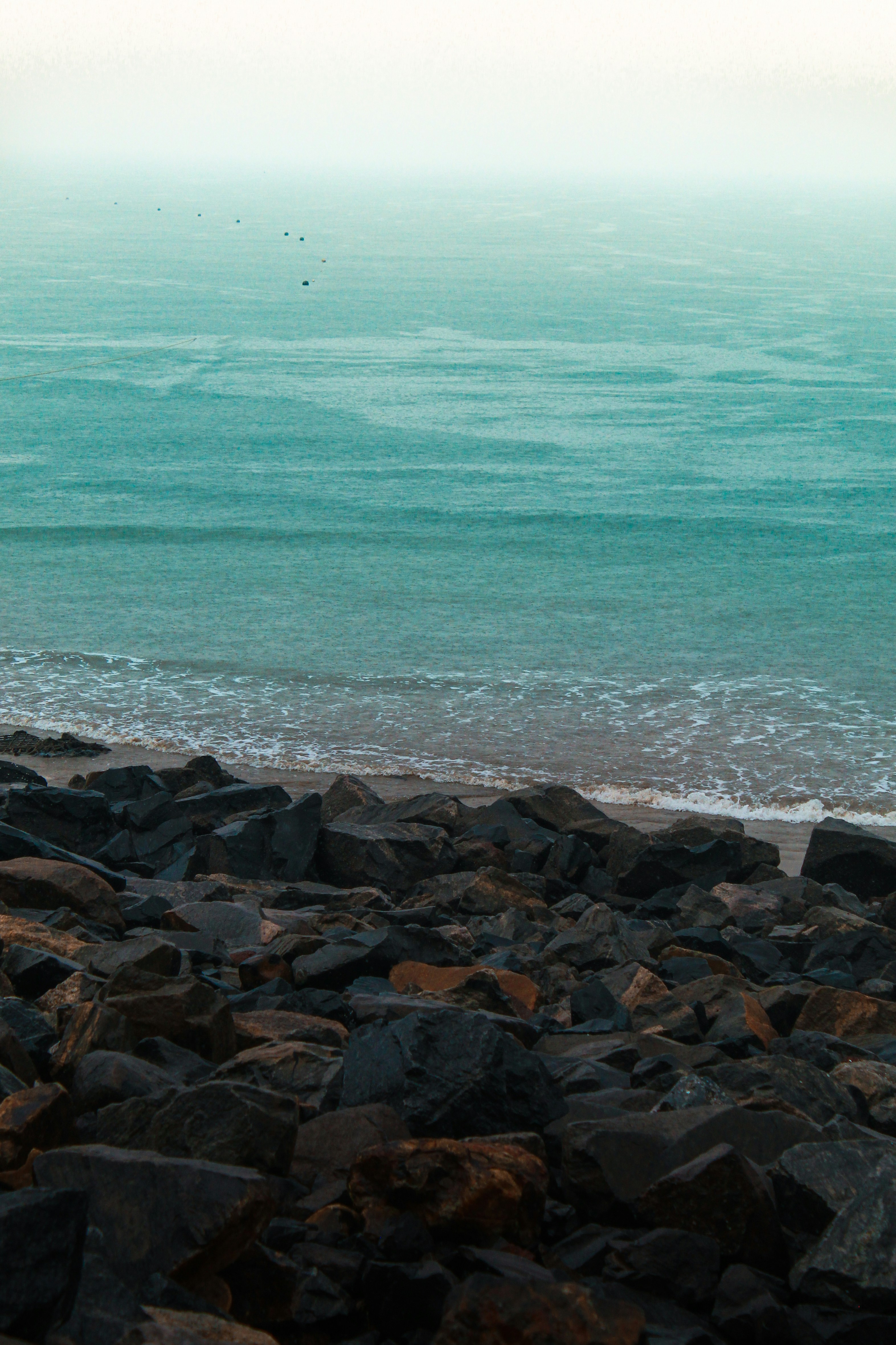 Photo by subhro_vision