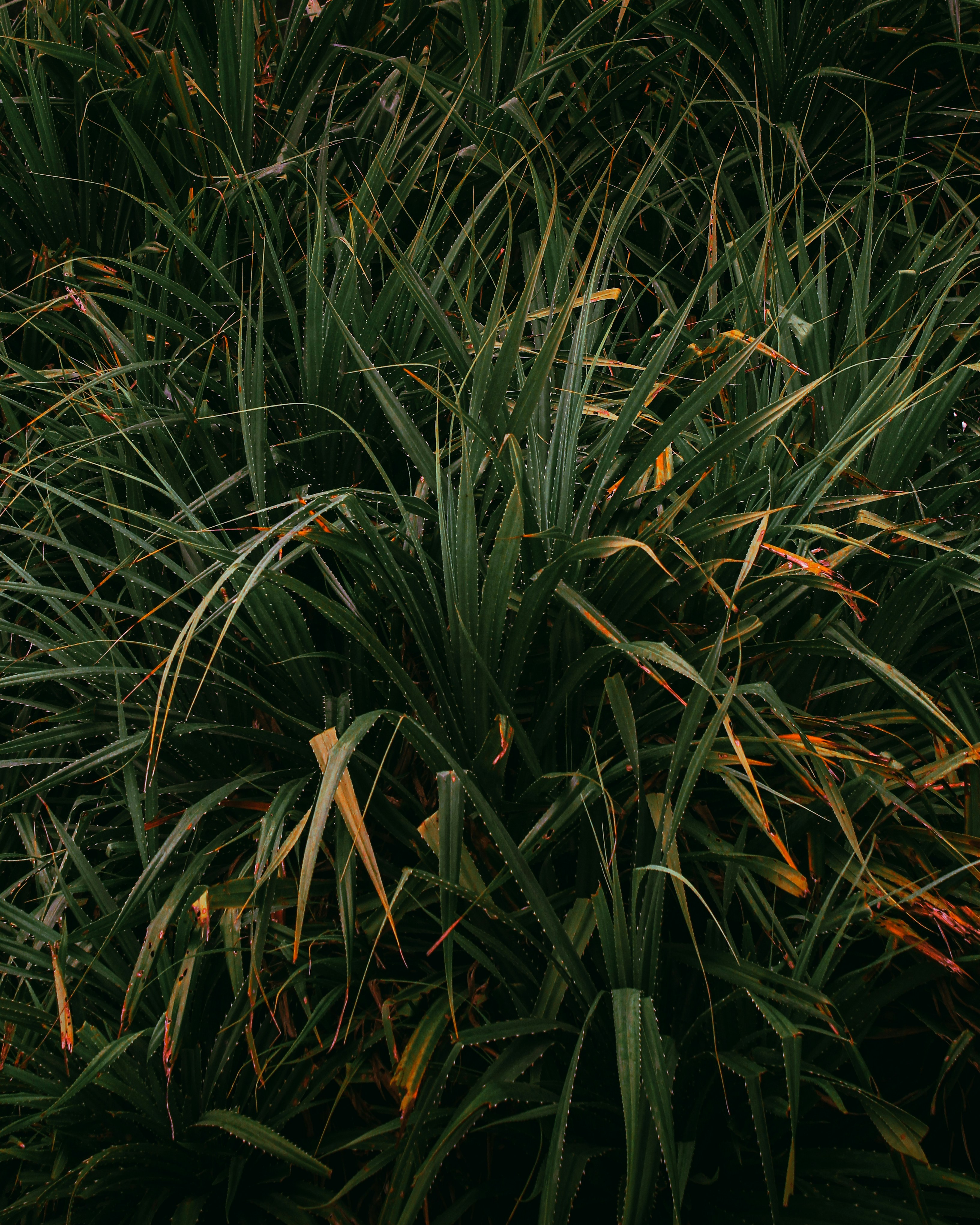 Photo by subhro_vision