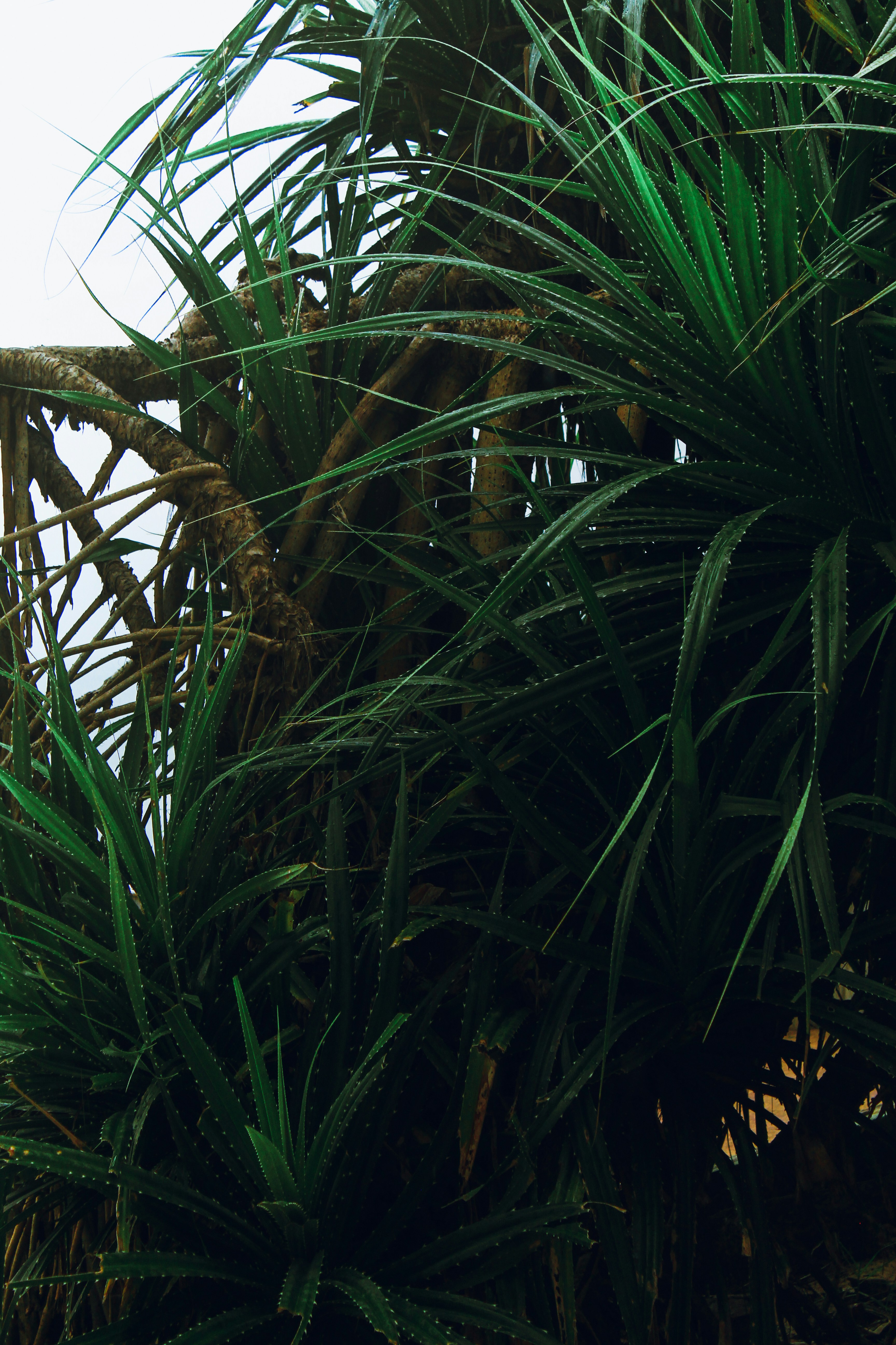 Photo by subhro_vision