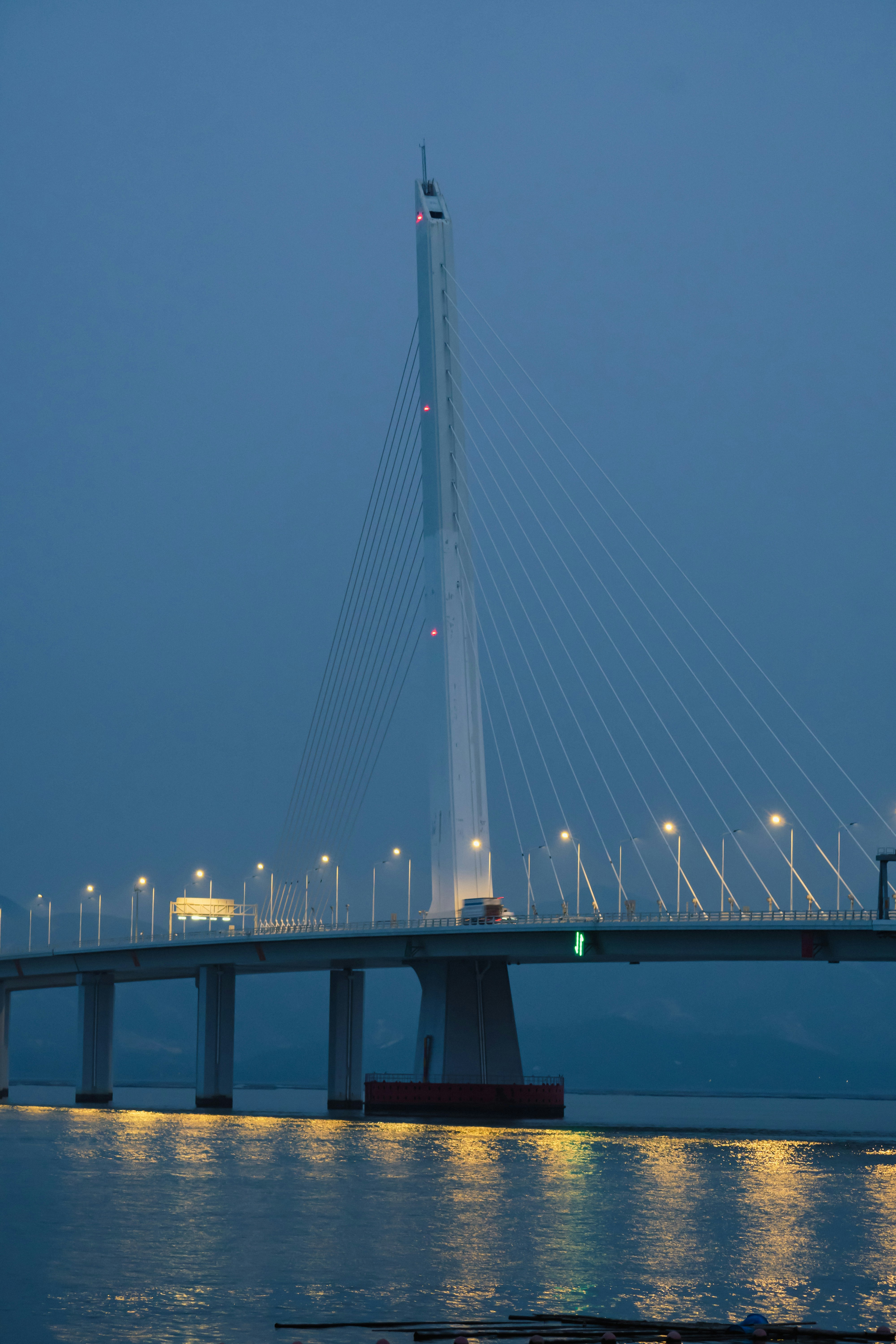 Photo by fanfandyuen