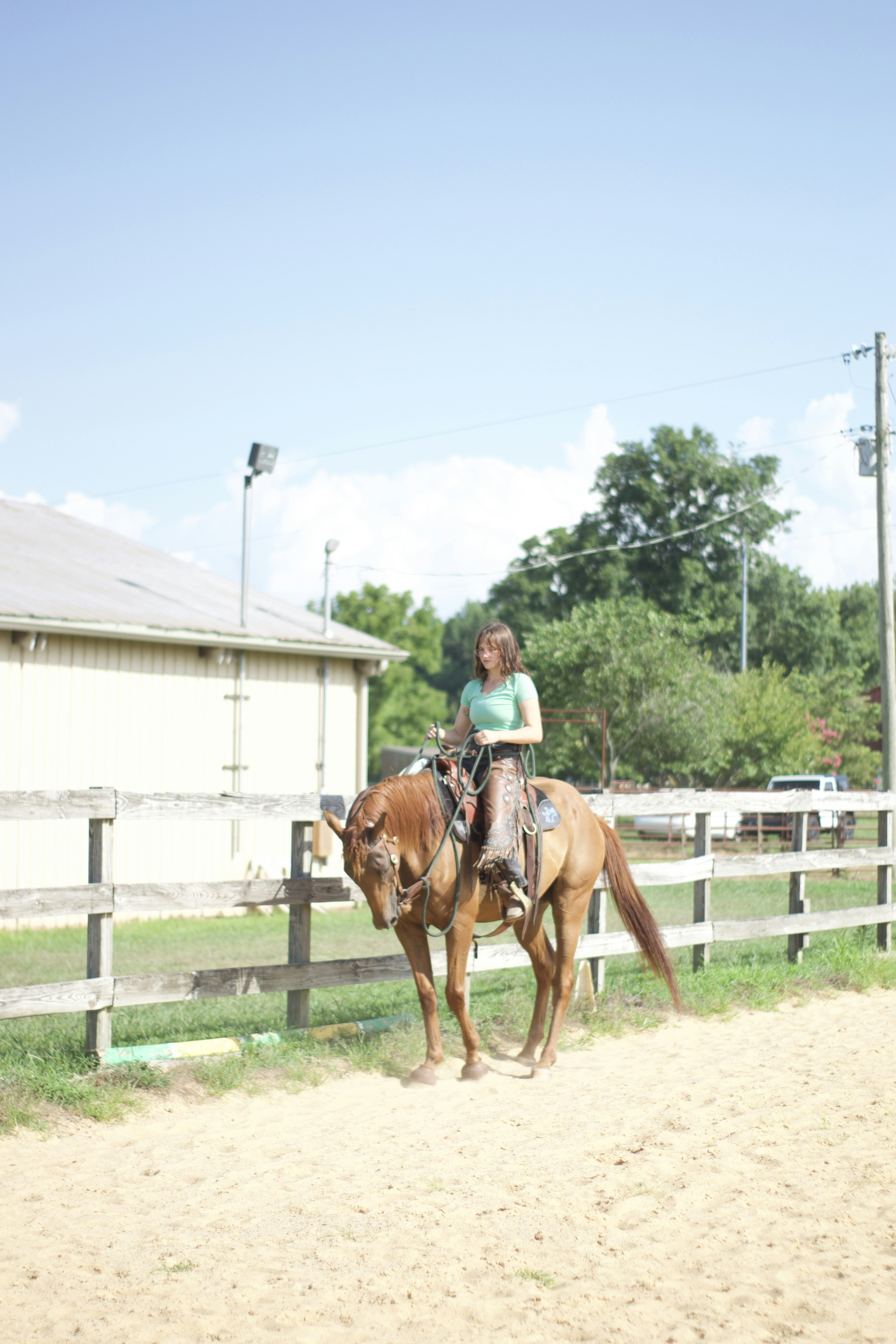 a person riding a horse