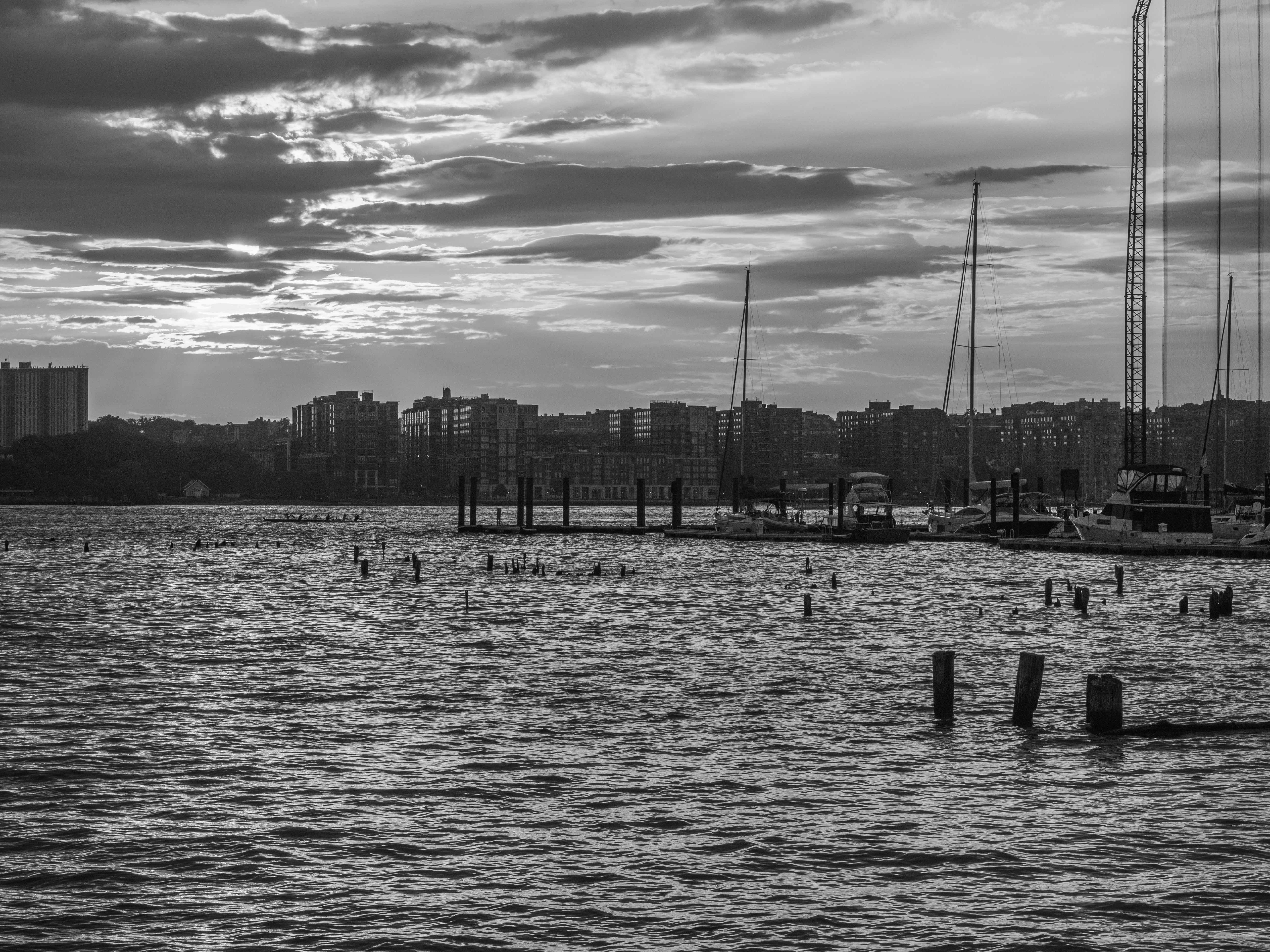 Photo by gabrielalmanzar