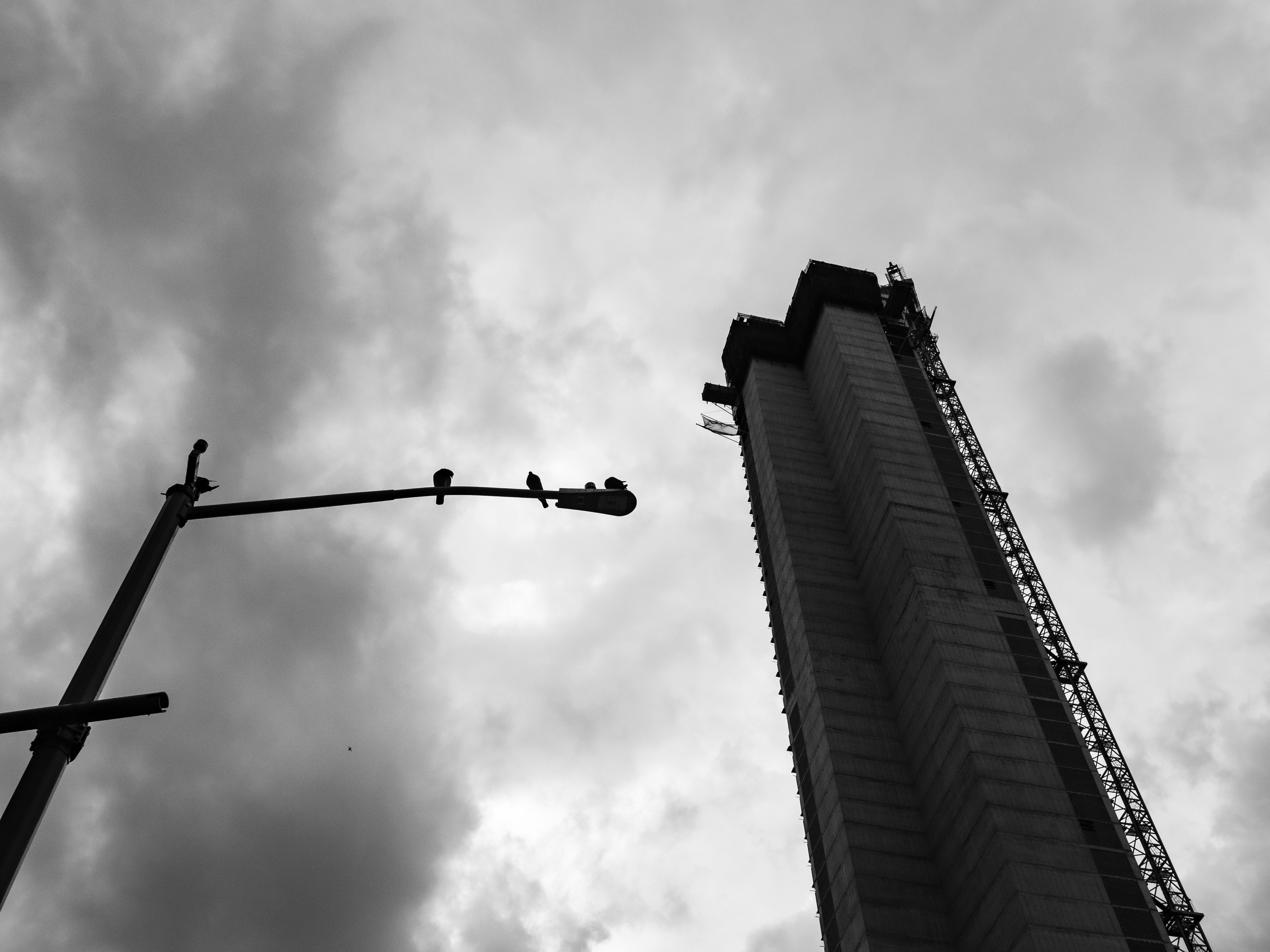 Photo by gabrielalmanzar