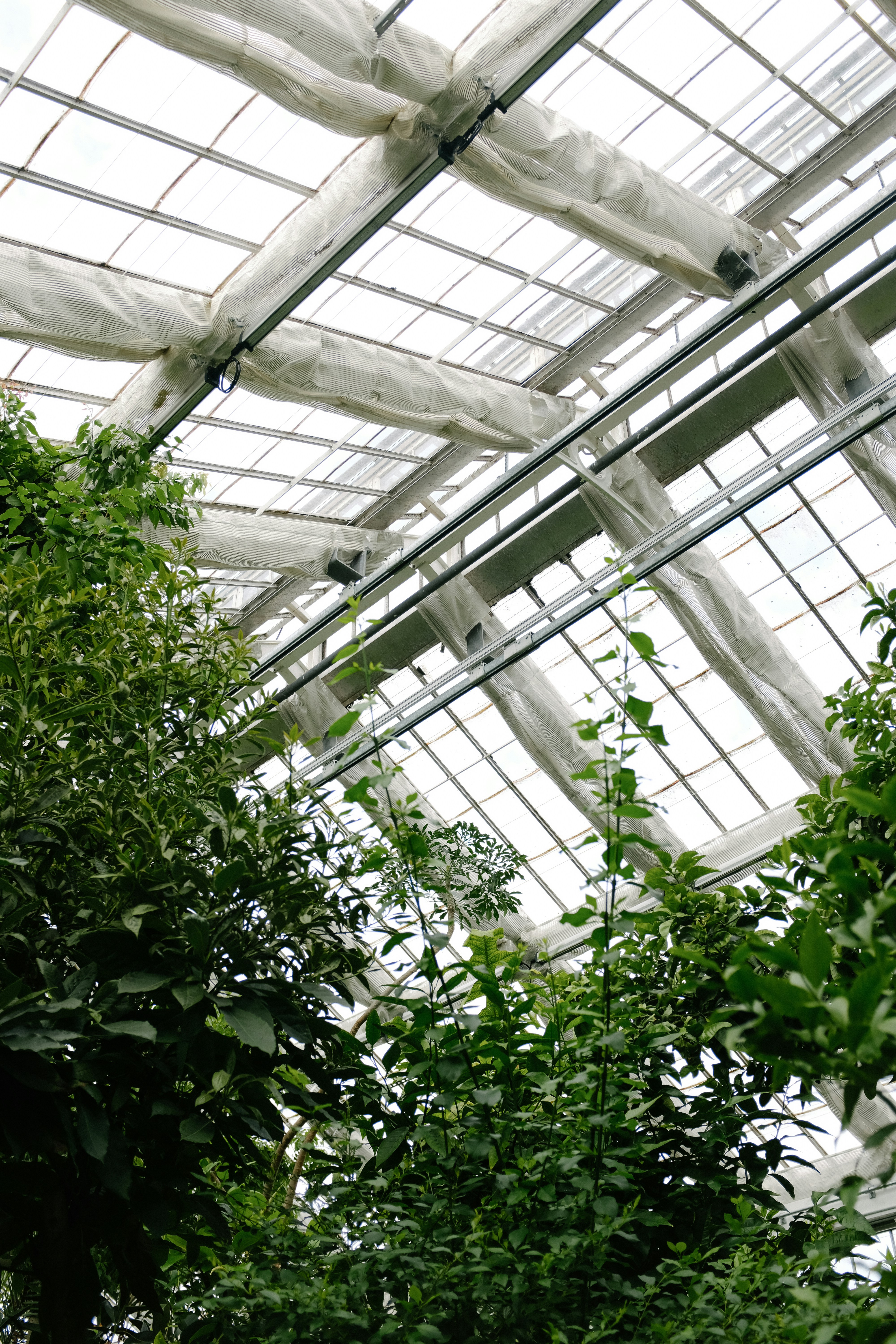 Photo by adrienolichon