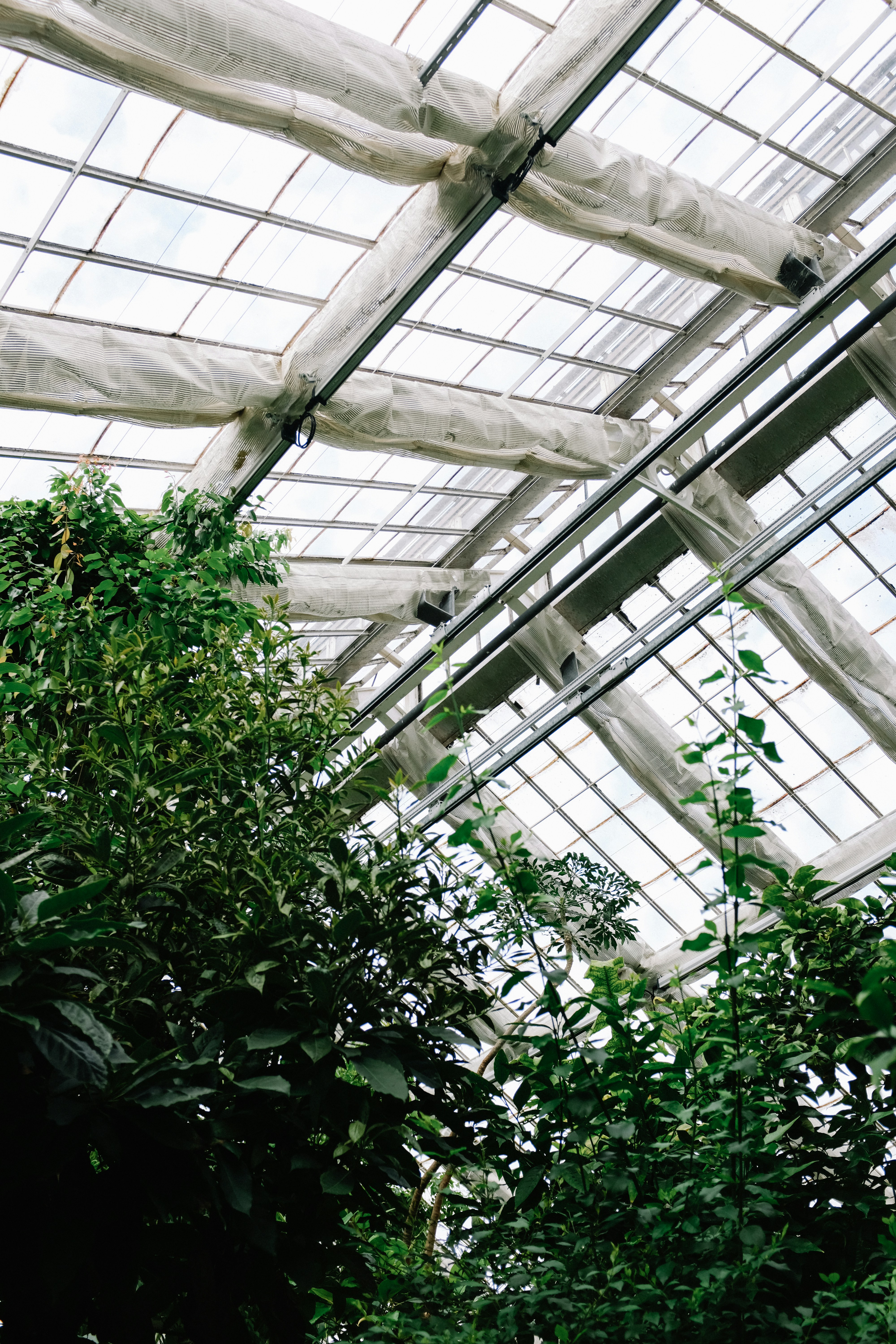 Photo by adrienolichon