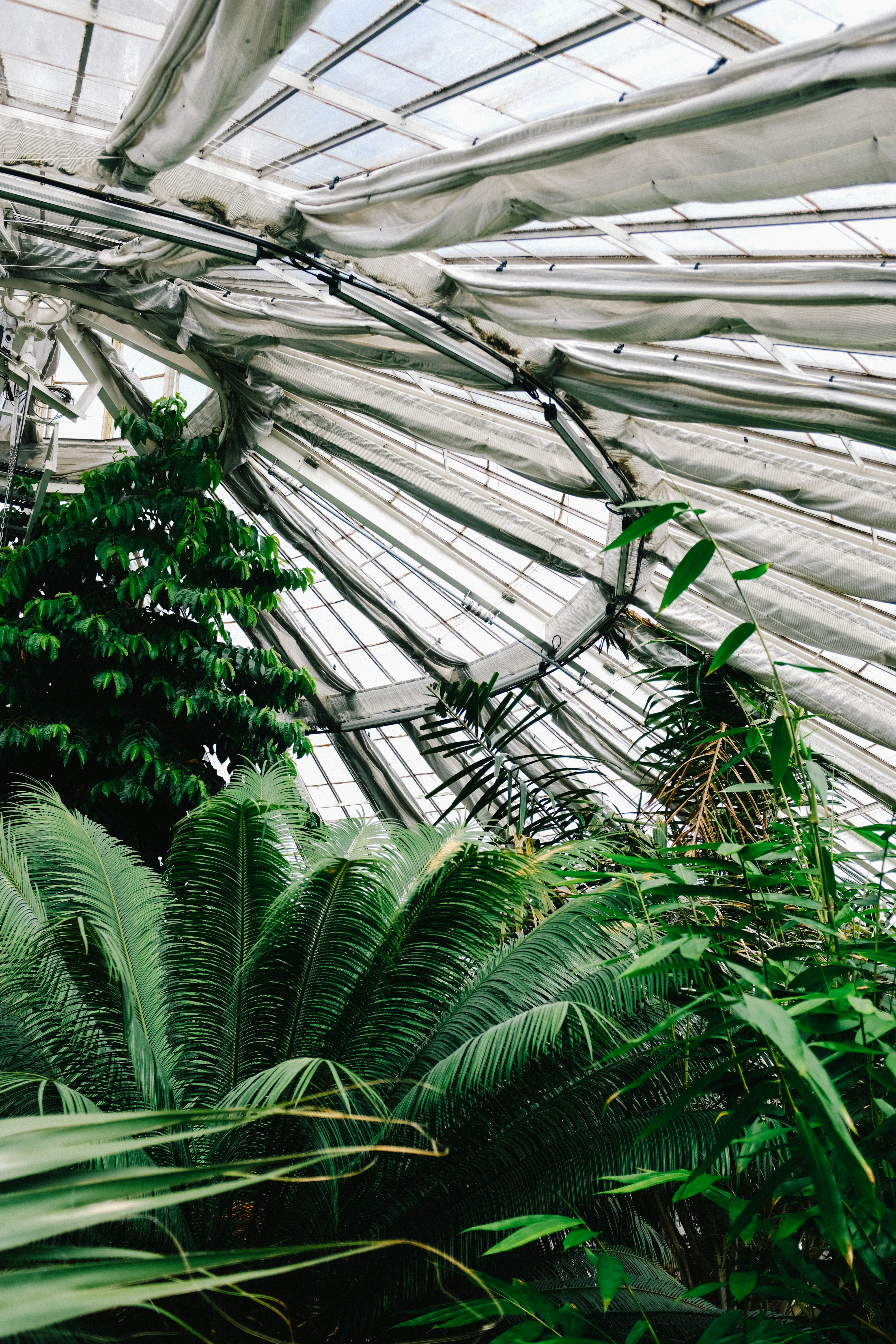 Photo by adrienolichon