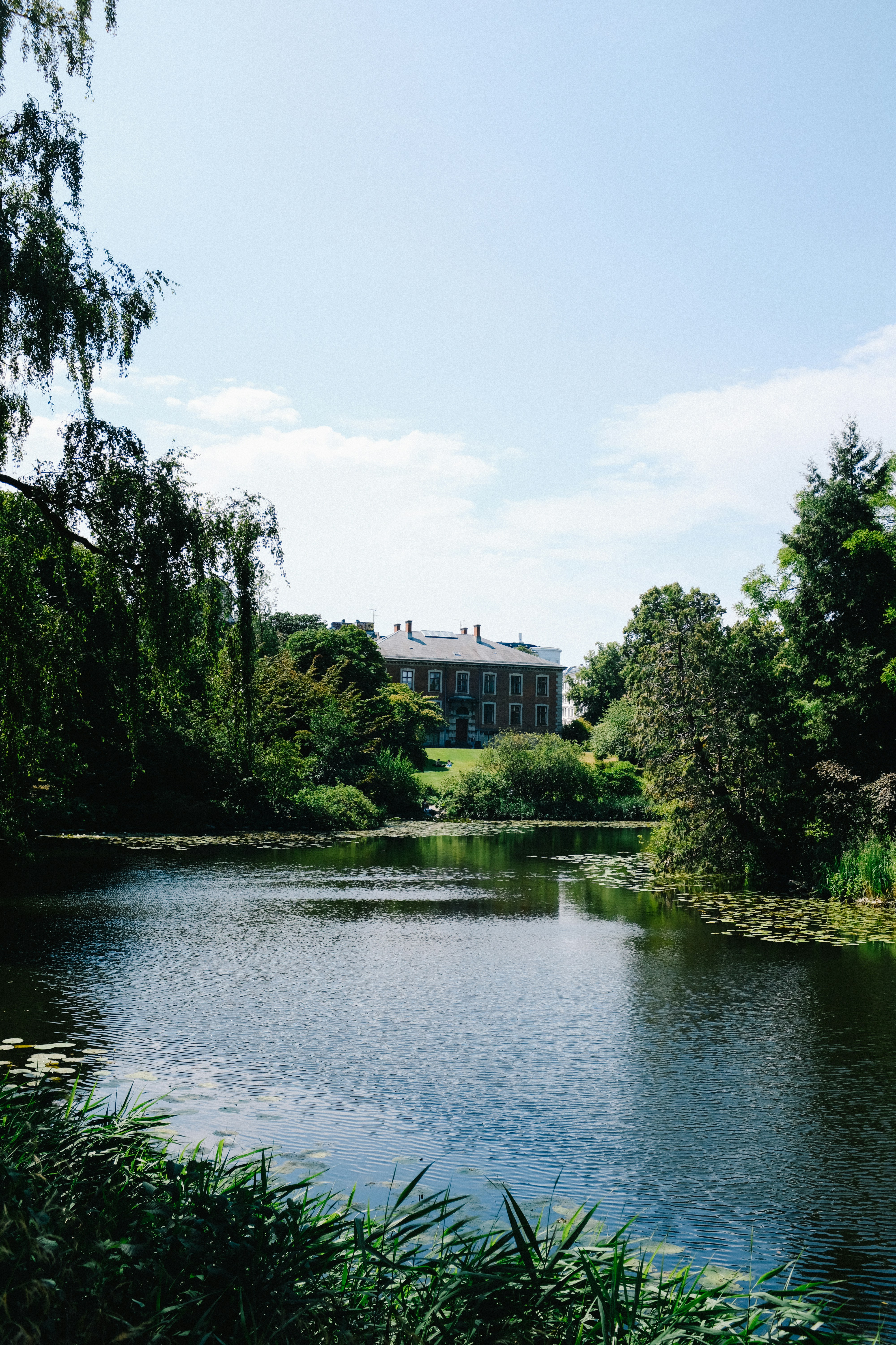 Photo by adrienolichon