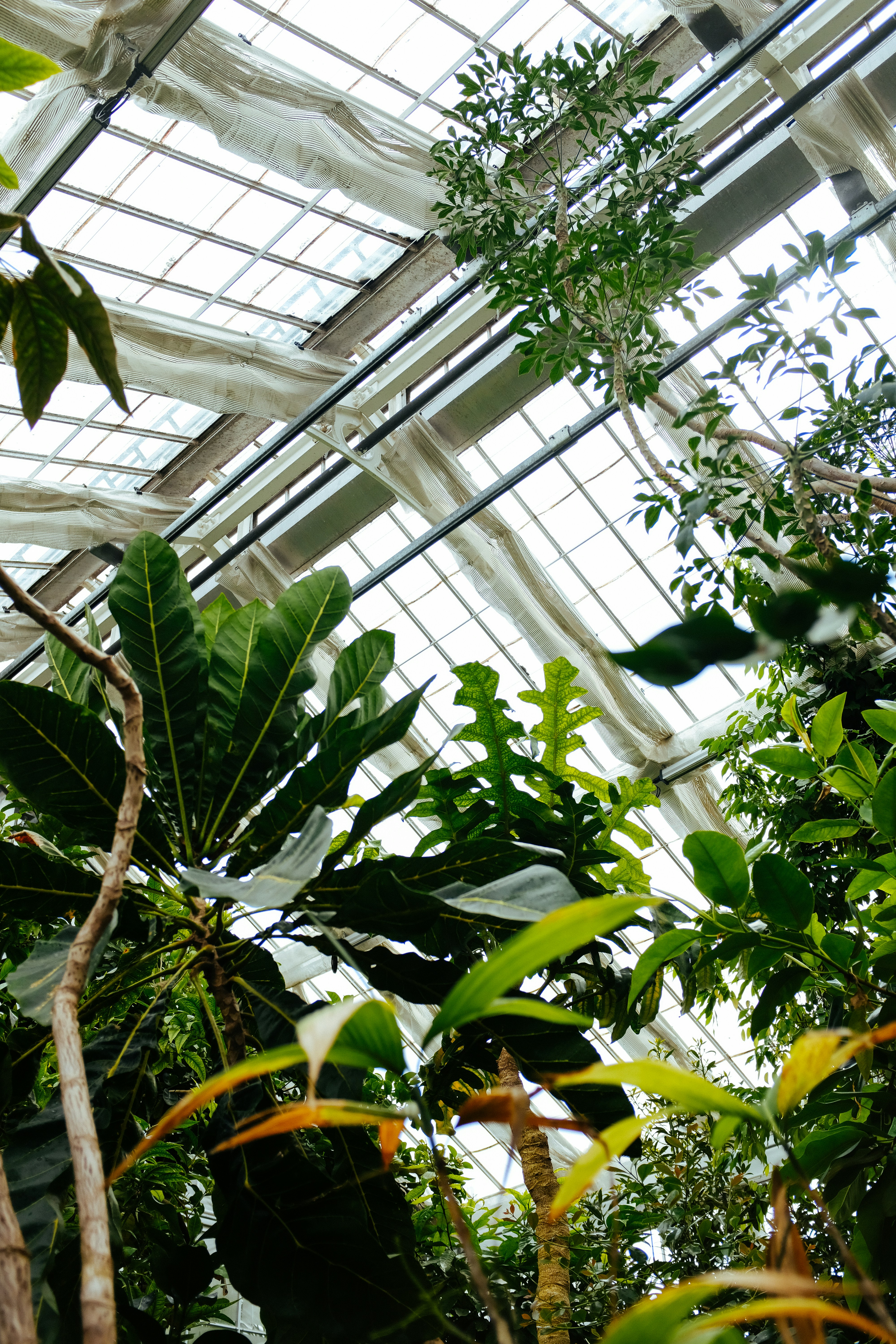 Photo by adrienolichon