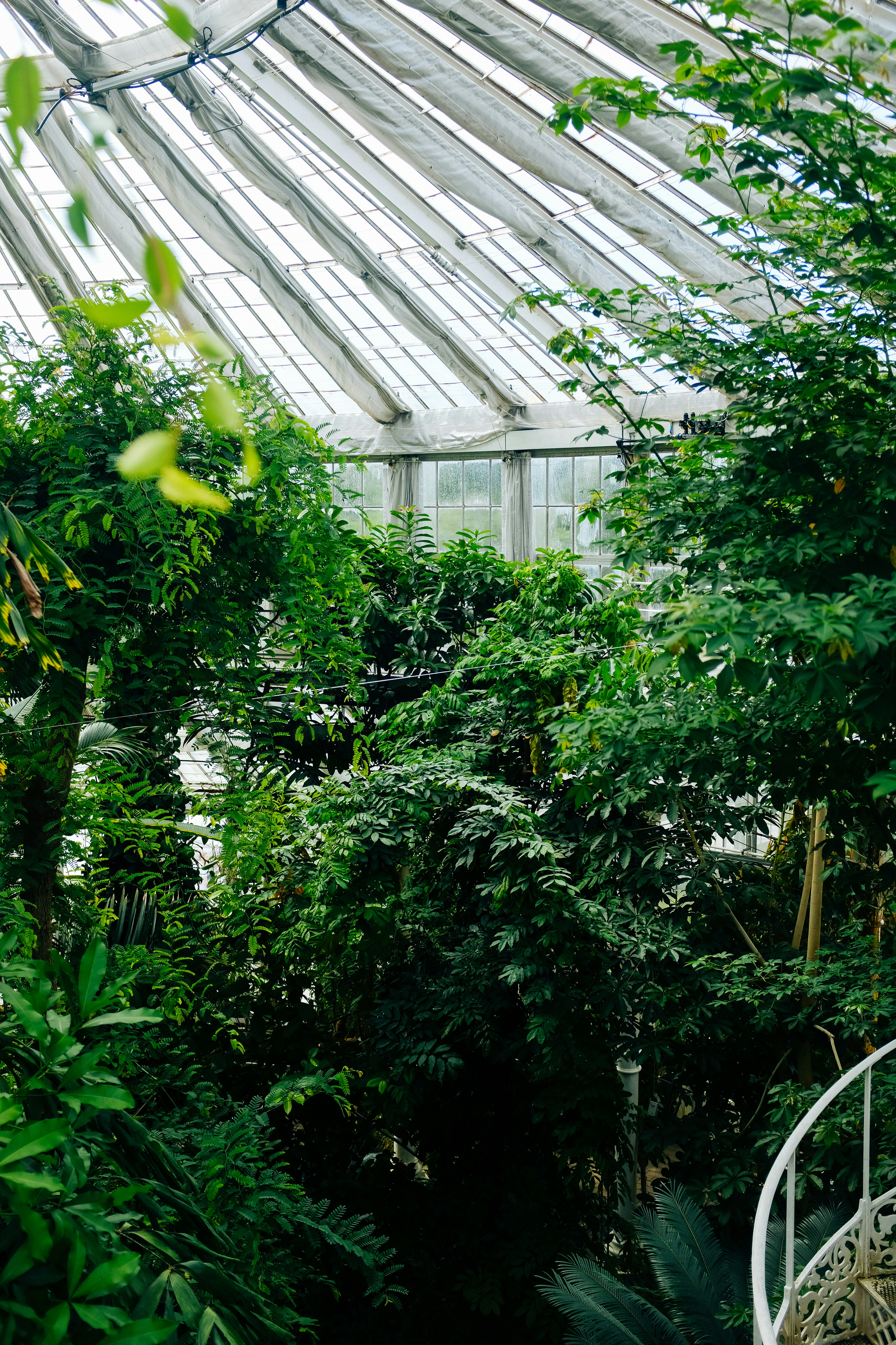 Photo by adrienolichon