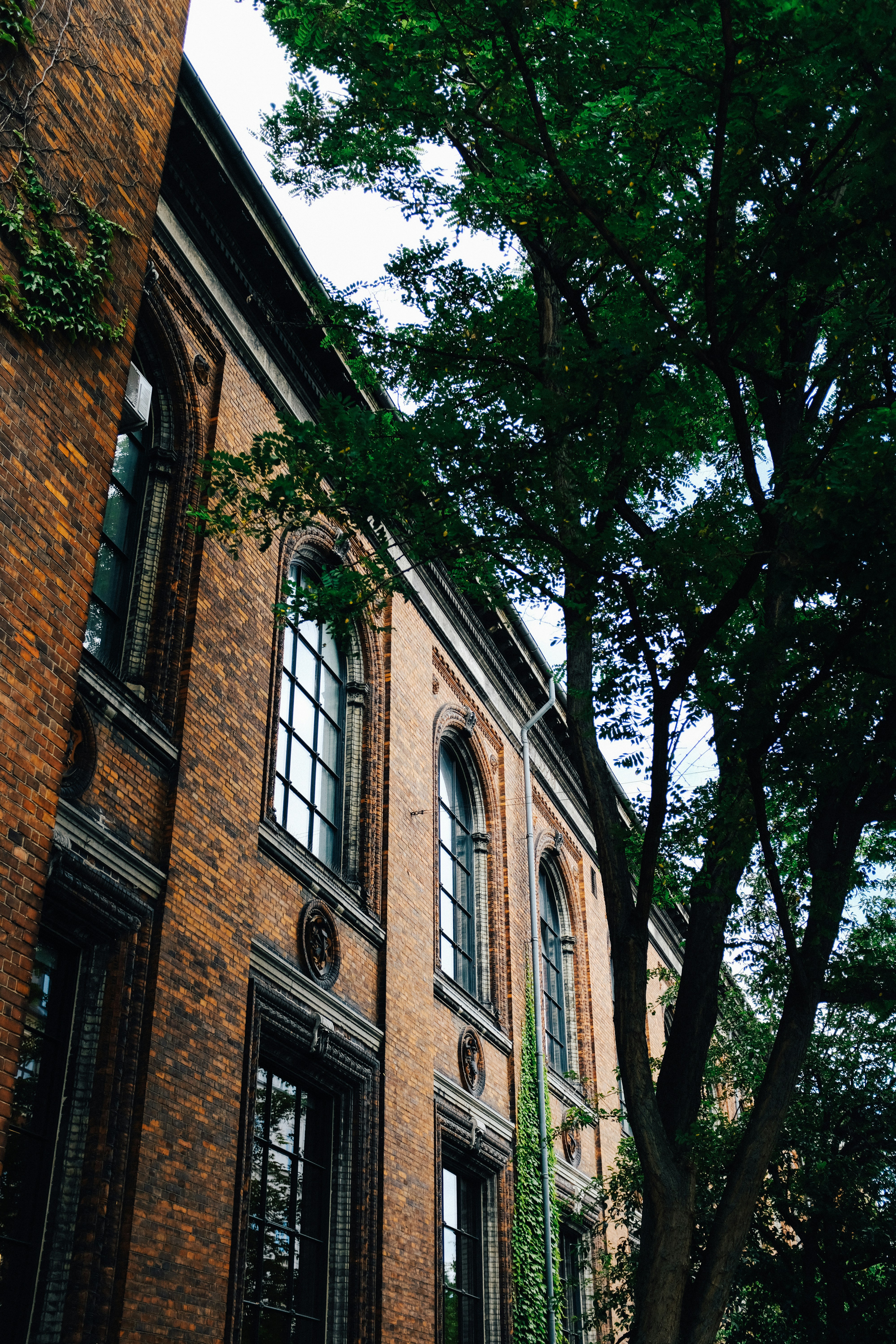 Photo by adrienolichon