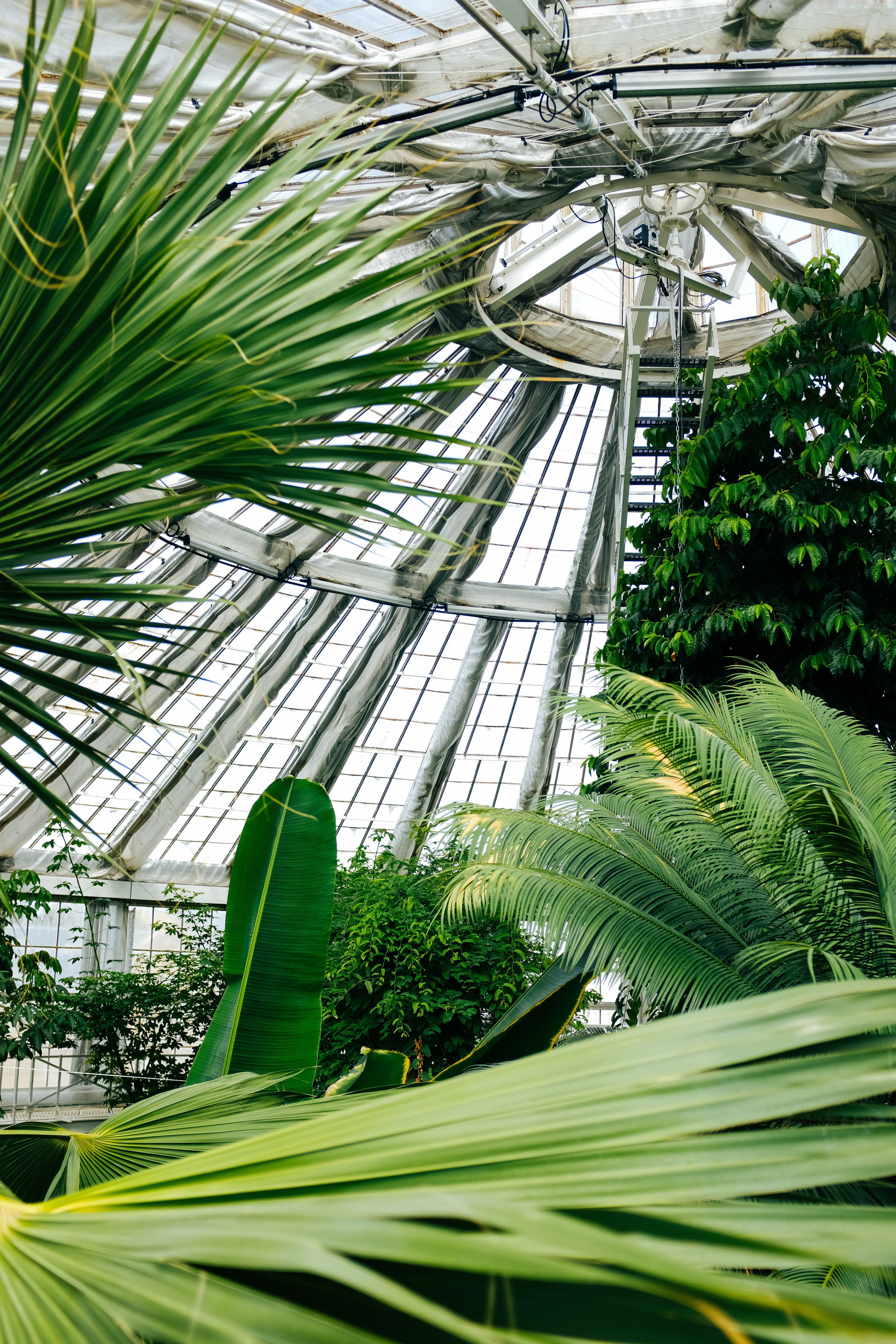 Photo by adrienolichon