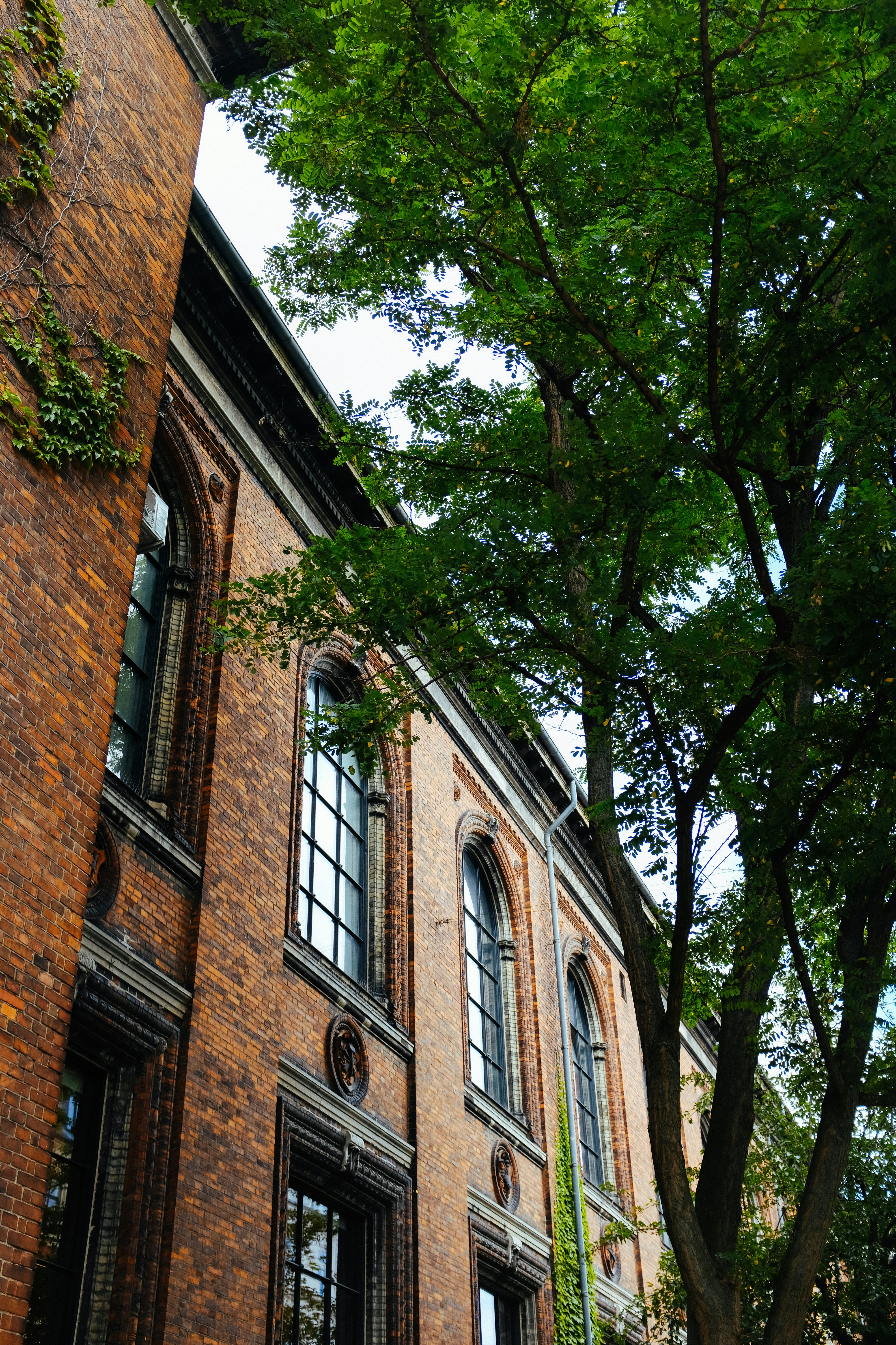 Photo by adrienolichon