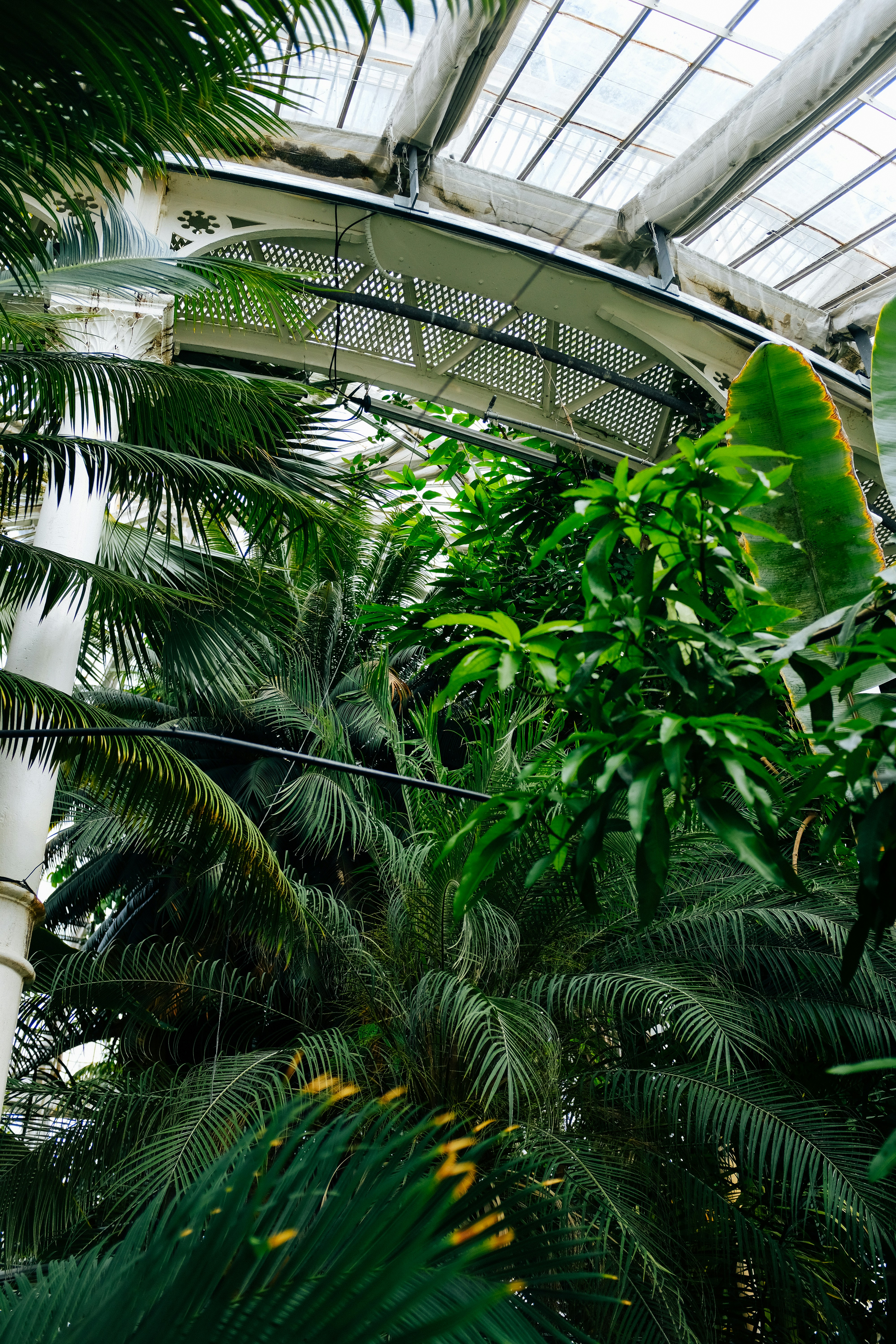 Photo by adrienolichon