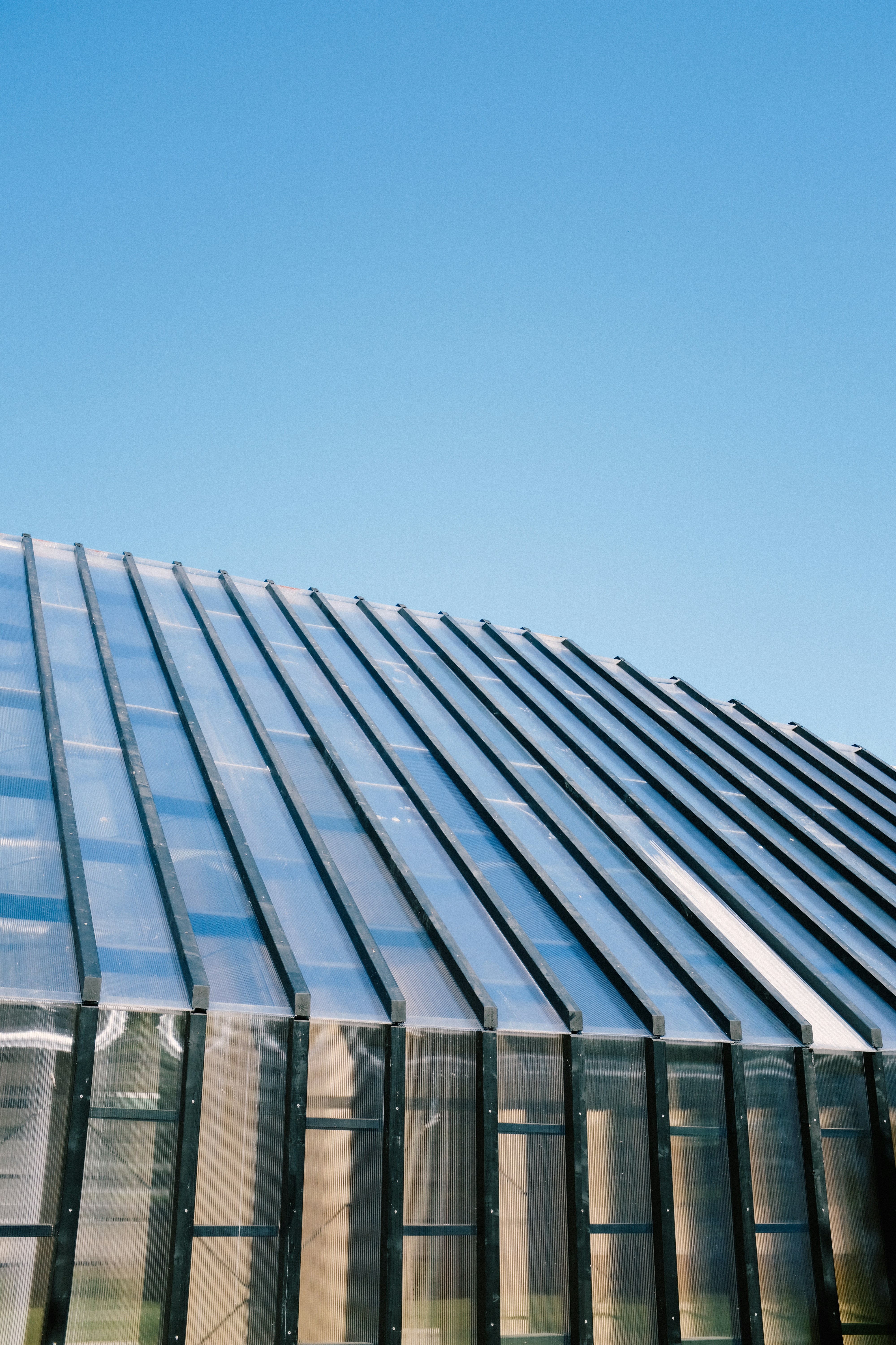 Photo by adrienolichon