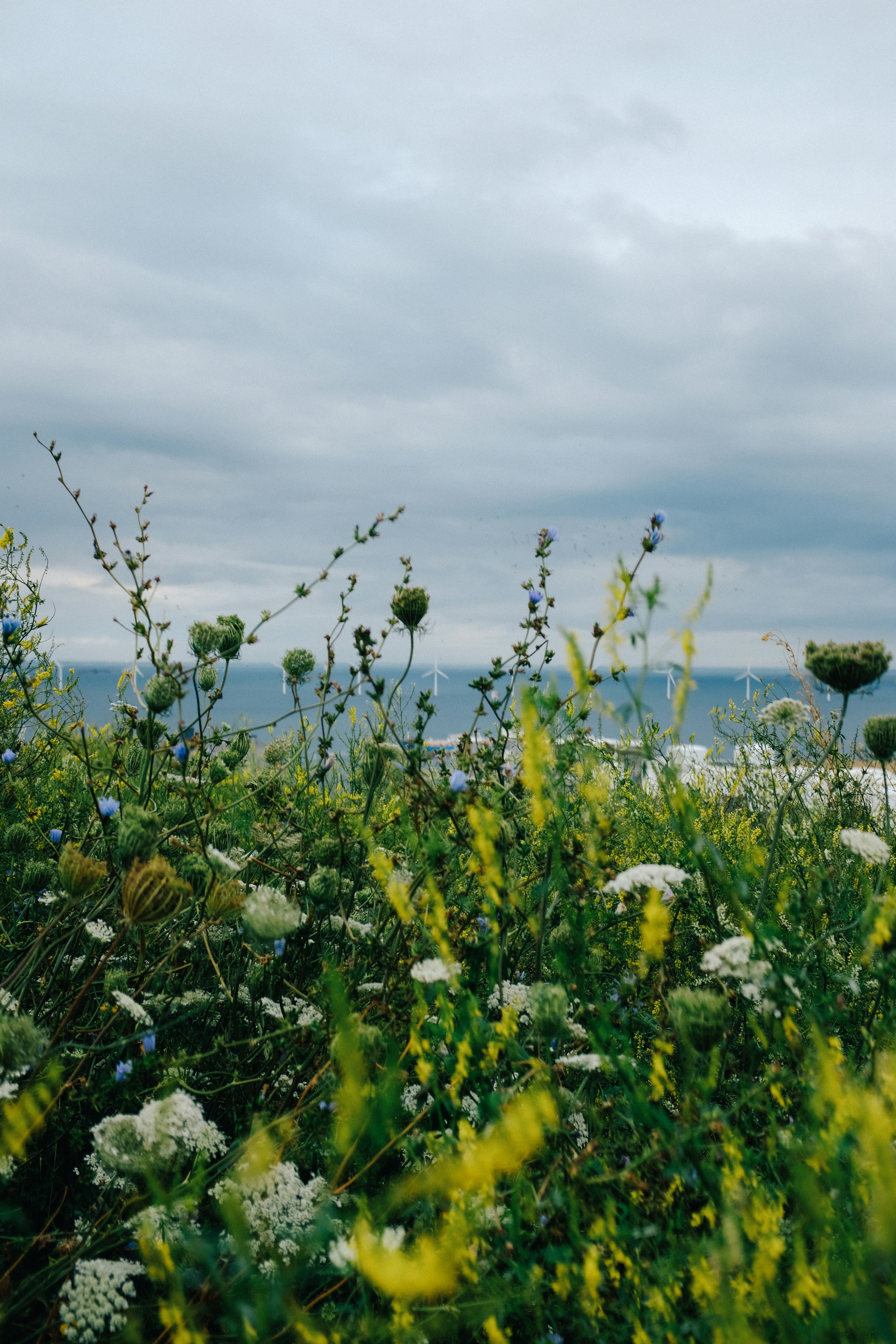Photo by adrienolichon