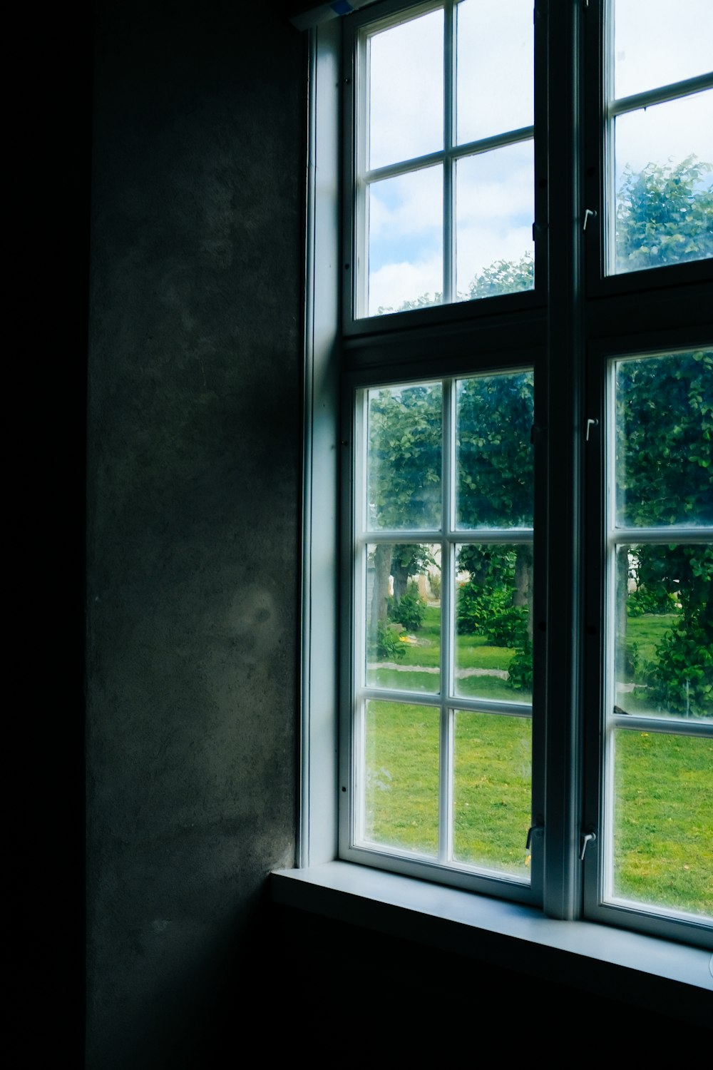 a window with a view of trees outside