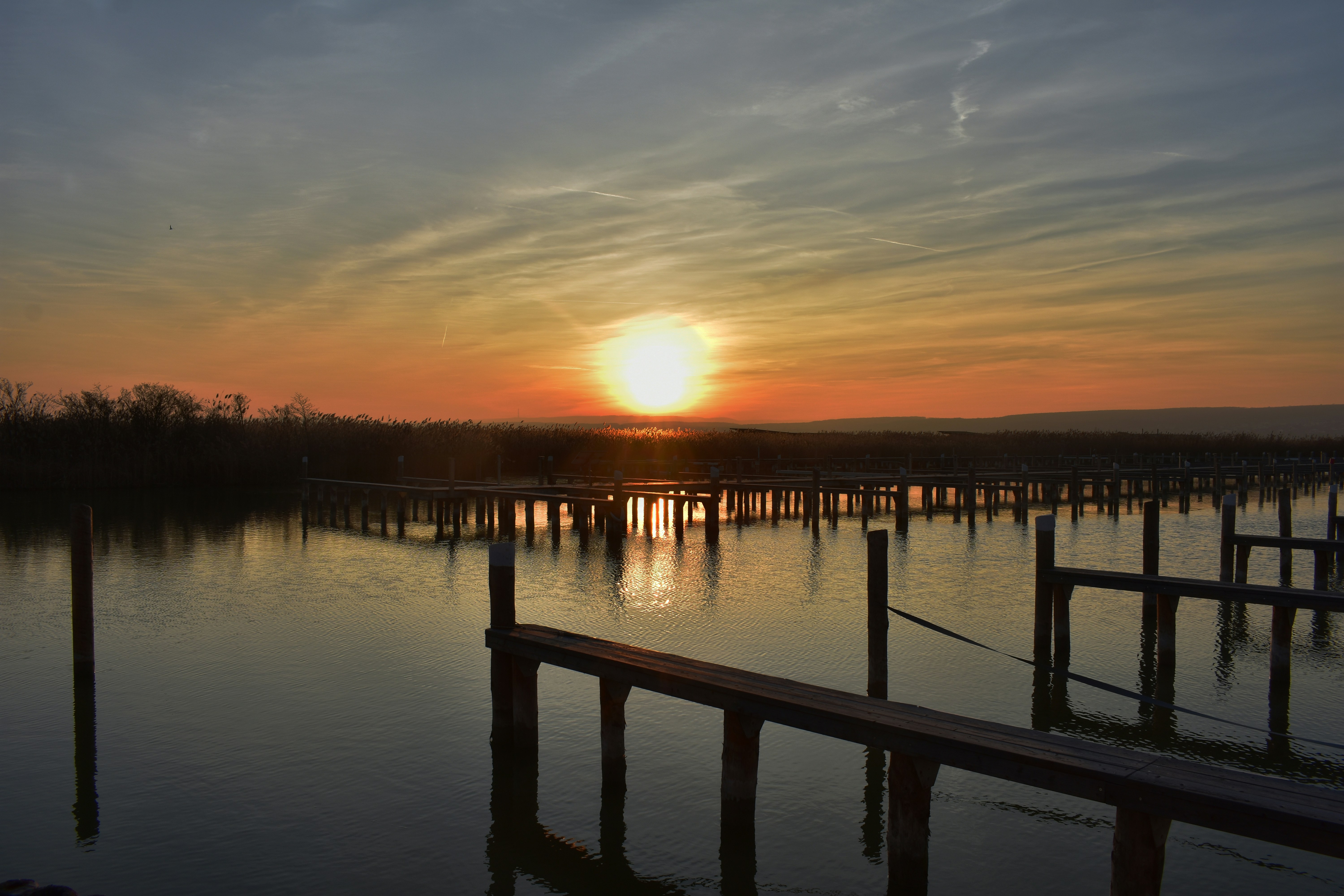 Photo by felixjiricka