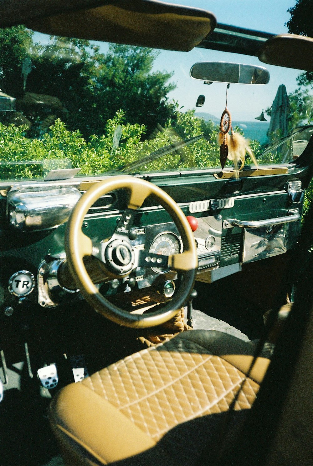 a car with a steering wheel and a dog in the background